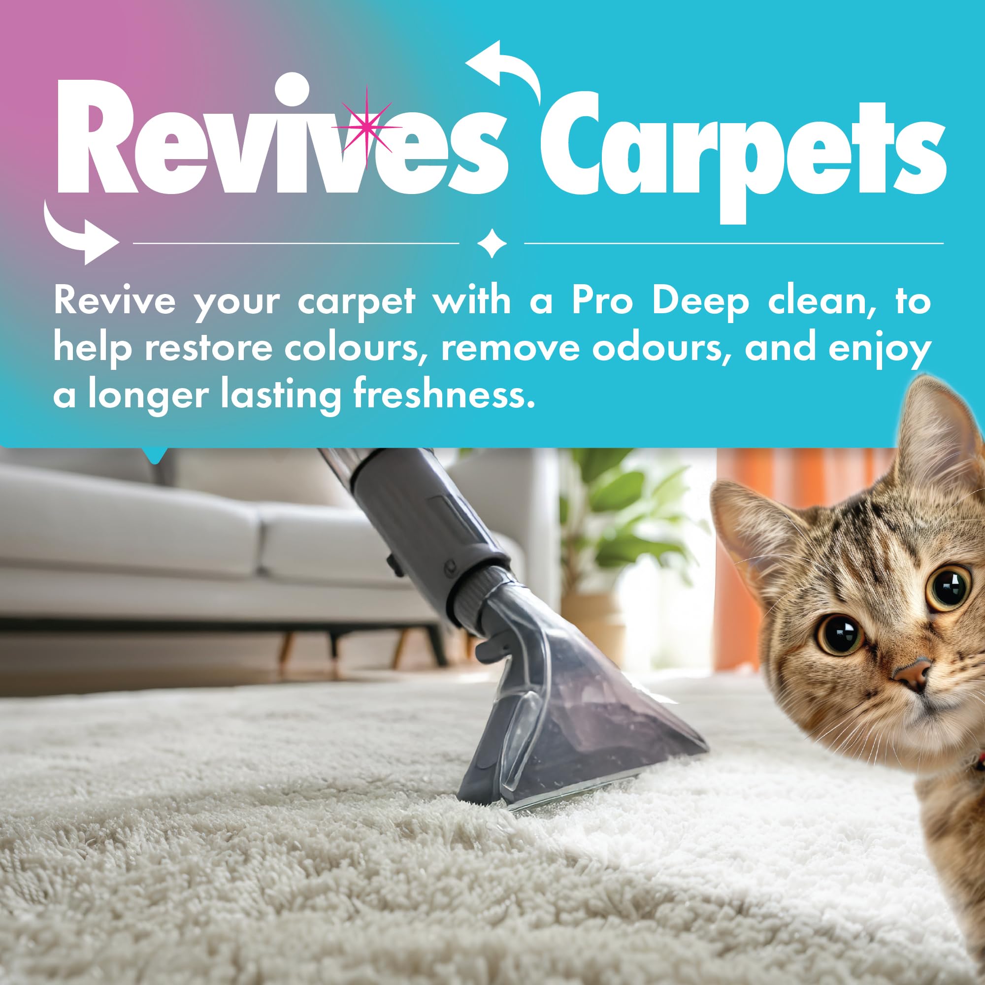 Dirtbusters Anti-Bac Spot Cleaning Solution (1L) 6