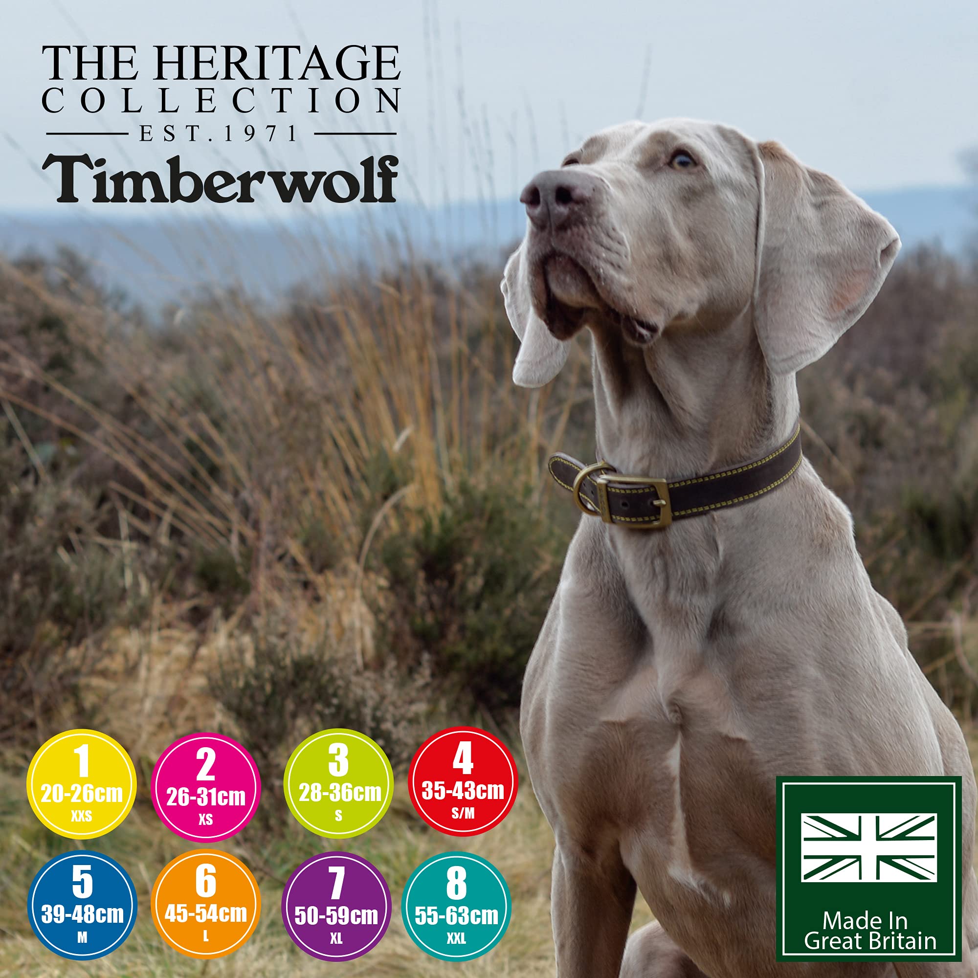 Ancol Timberwolf Leather Dog Collar - Sable | Size 4 (35-43 cm Neck) 8