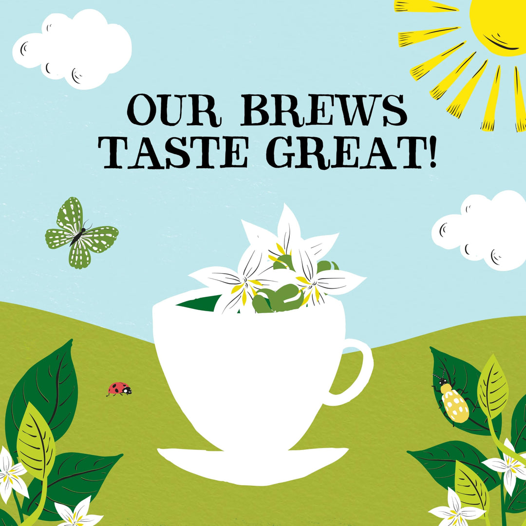 Clipper Organic Decaf Instant Coffee - 6x 100g Jars Medium Roast Arabica