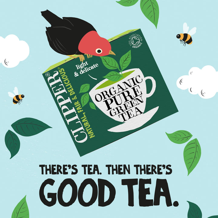 Clipper Organic Pure Green Tea Bags - 320 Bags (4 x 80) Bulk Pack, Fairtrade & Plastic-Free