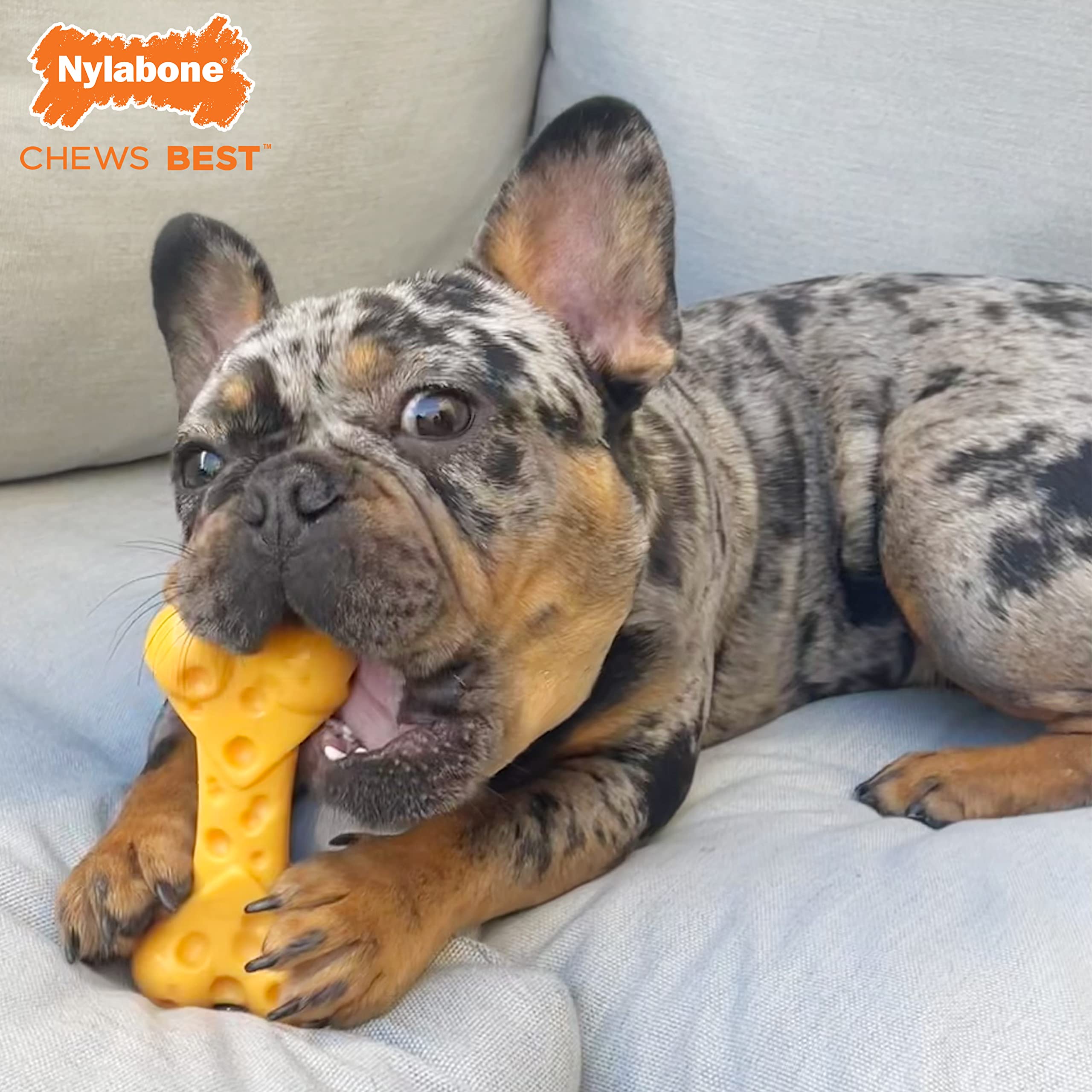 Nylabone Extreme Tough Dog Chew Toy - Beef Flavor, Medium (Up to 16 kg) 5
