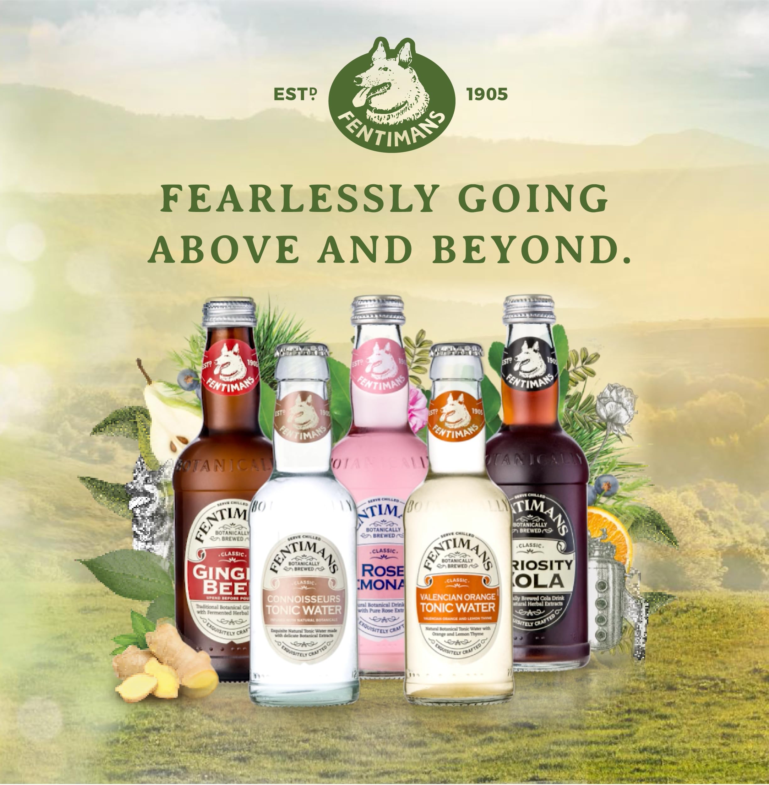 Fentimans Pink Rhubarb Tonic Water - Botanically Brewed Beverage with Natural Ingredients 5