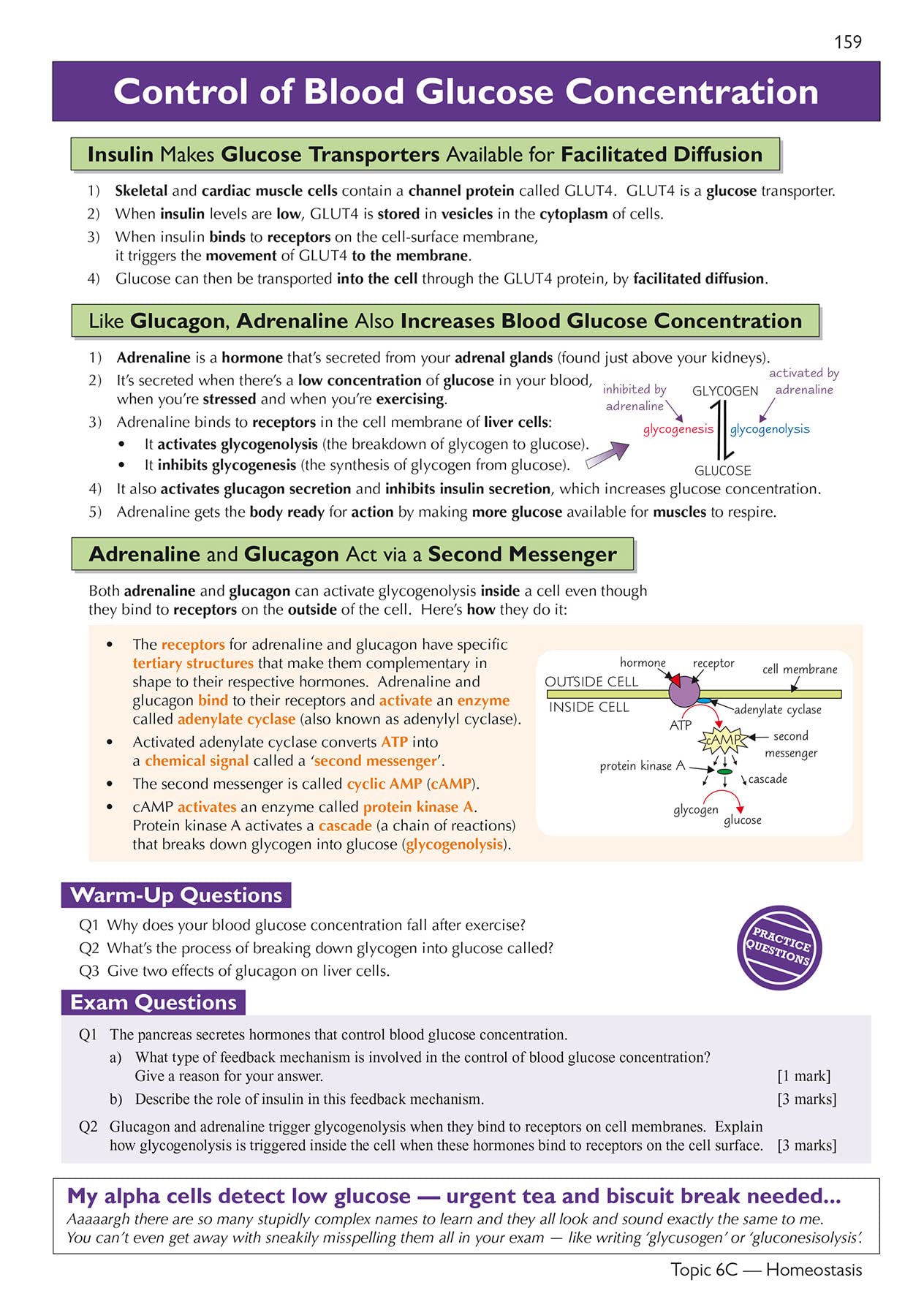 CGP A-Level Biology: AQA Year 1 & 2 Complete Revision & Practice with Online Edition | Paperback | 272 Pages 5