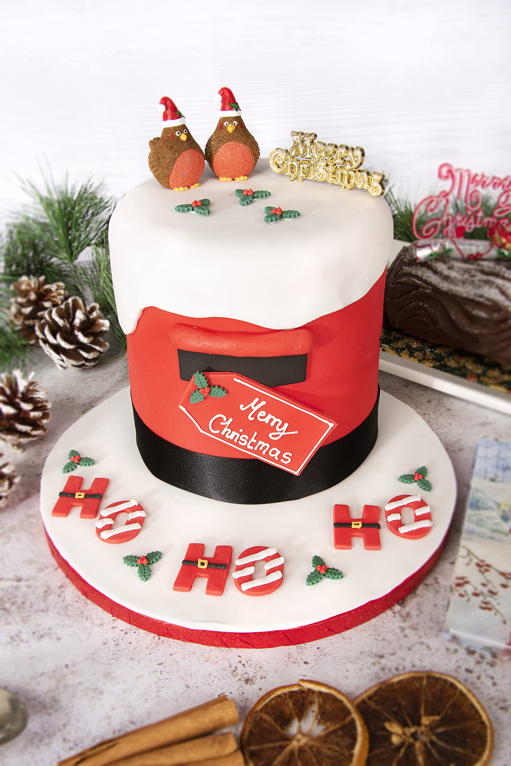 Anniversary House - Plump Christmas Robin Resin Cake Topper & Merry Christmas Motto Set