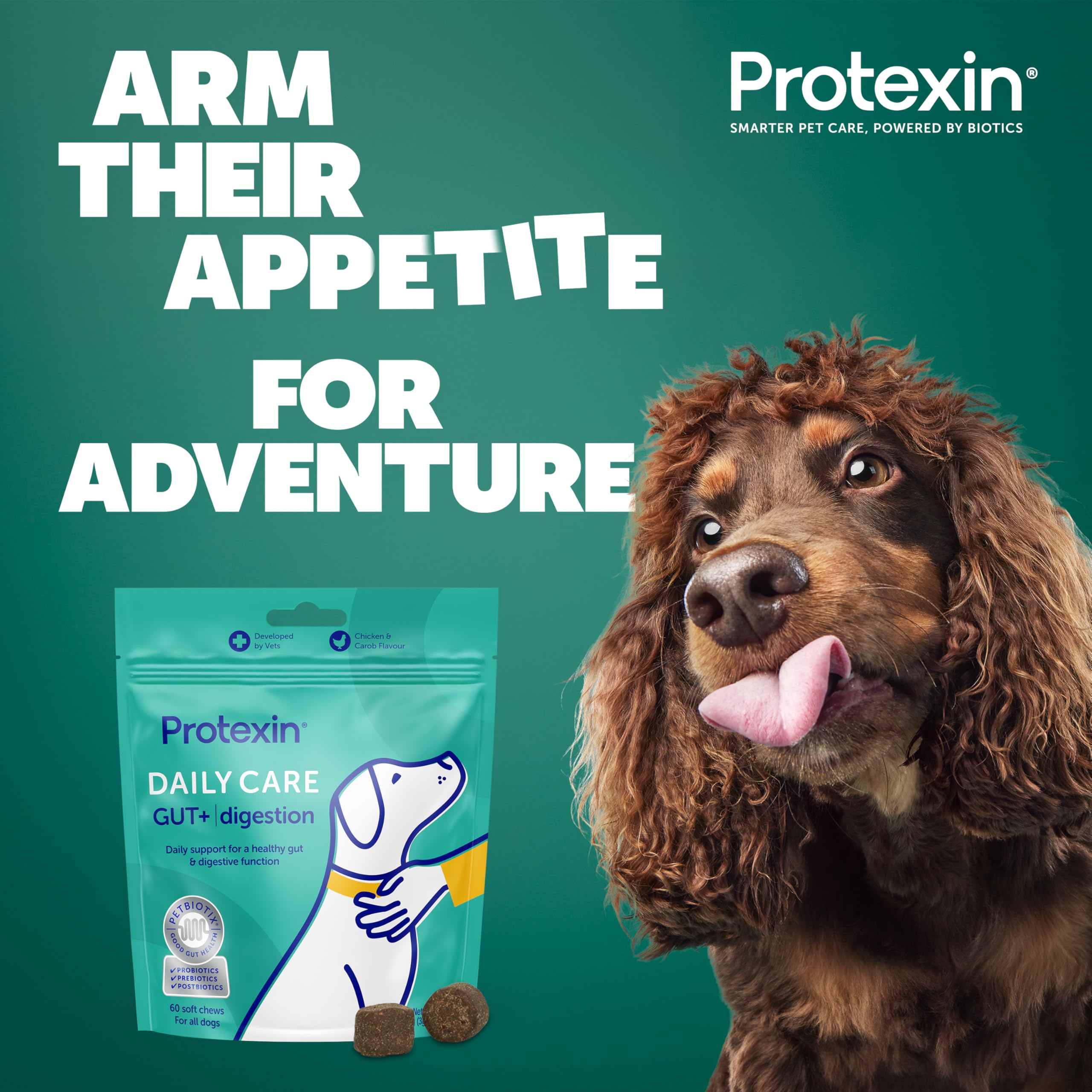 Protexin Daily Chews - High-Fibre Digestive Supplement for Dogs | Probiotics & Prebiotics 4