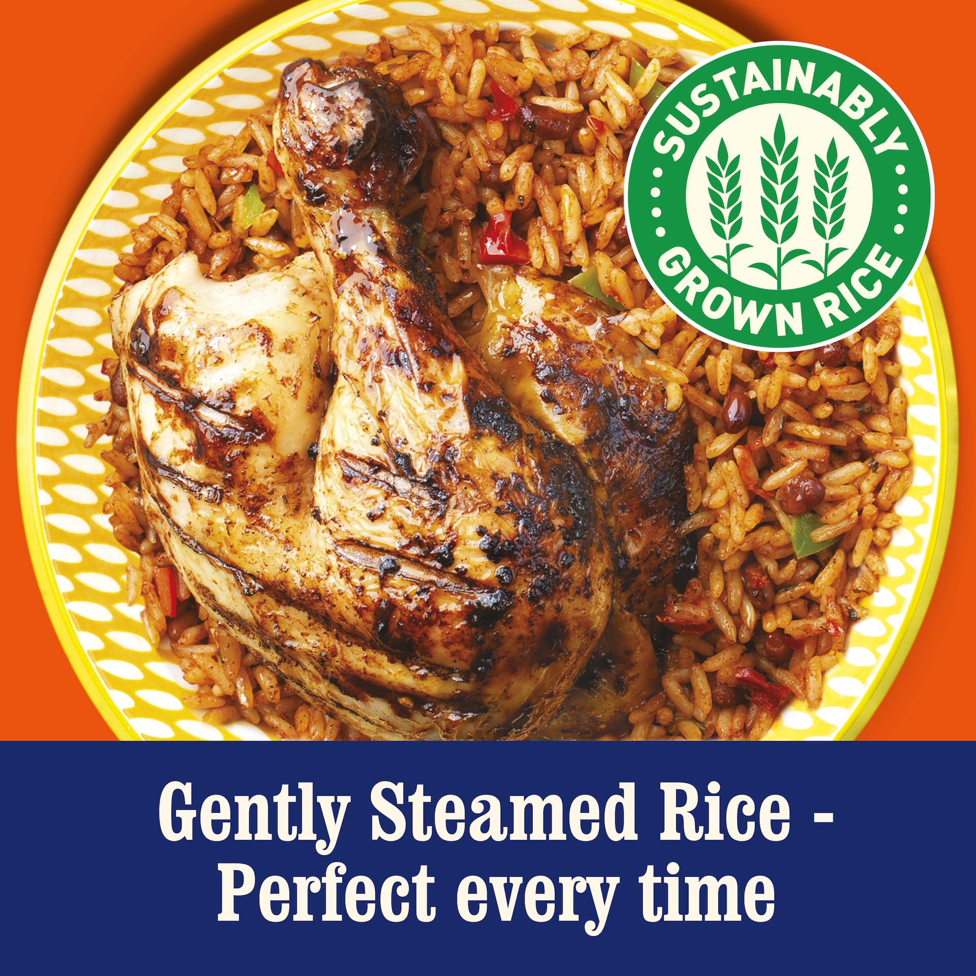Ben's Original Caribbean Microwave Rice, 6 x 220g Pouches 2