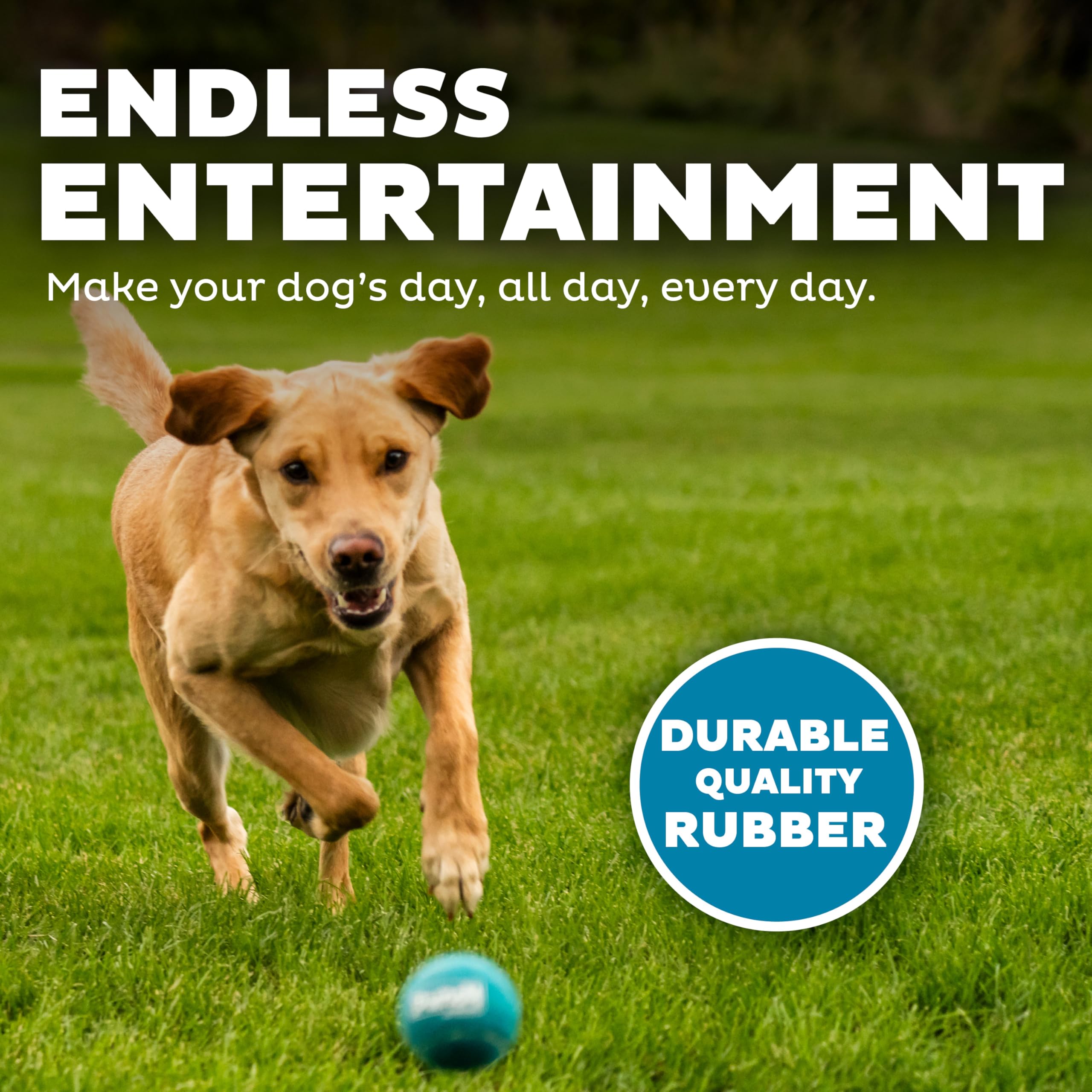 Outward Hound Squeaker Ballz Fetch Dog Toy - Medium Size, 4 Pack | Premium Rubber Bounce 4