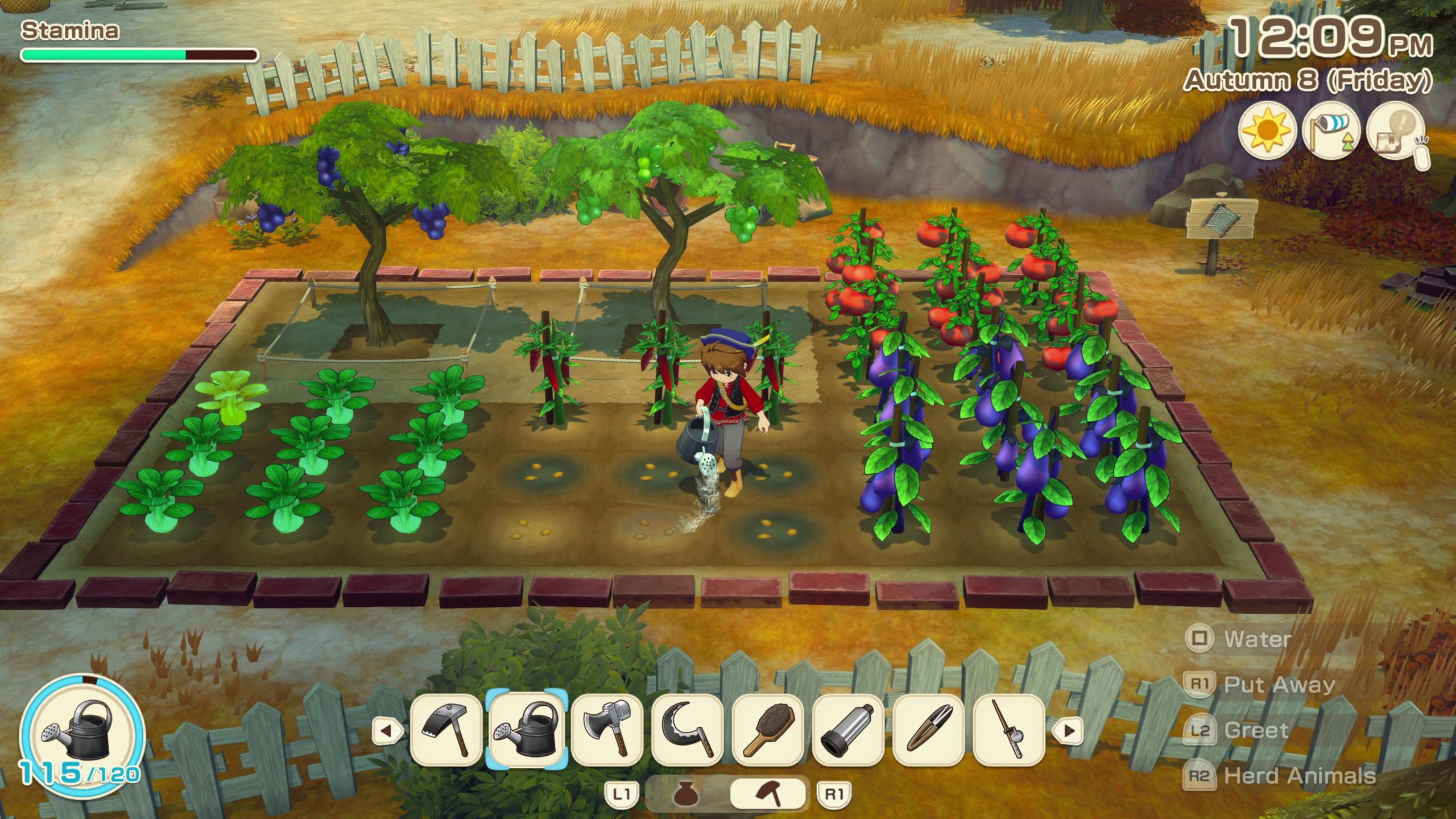 Story of Seasons: Grand Bazaar [PS5] 3