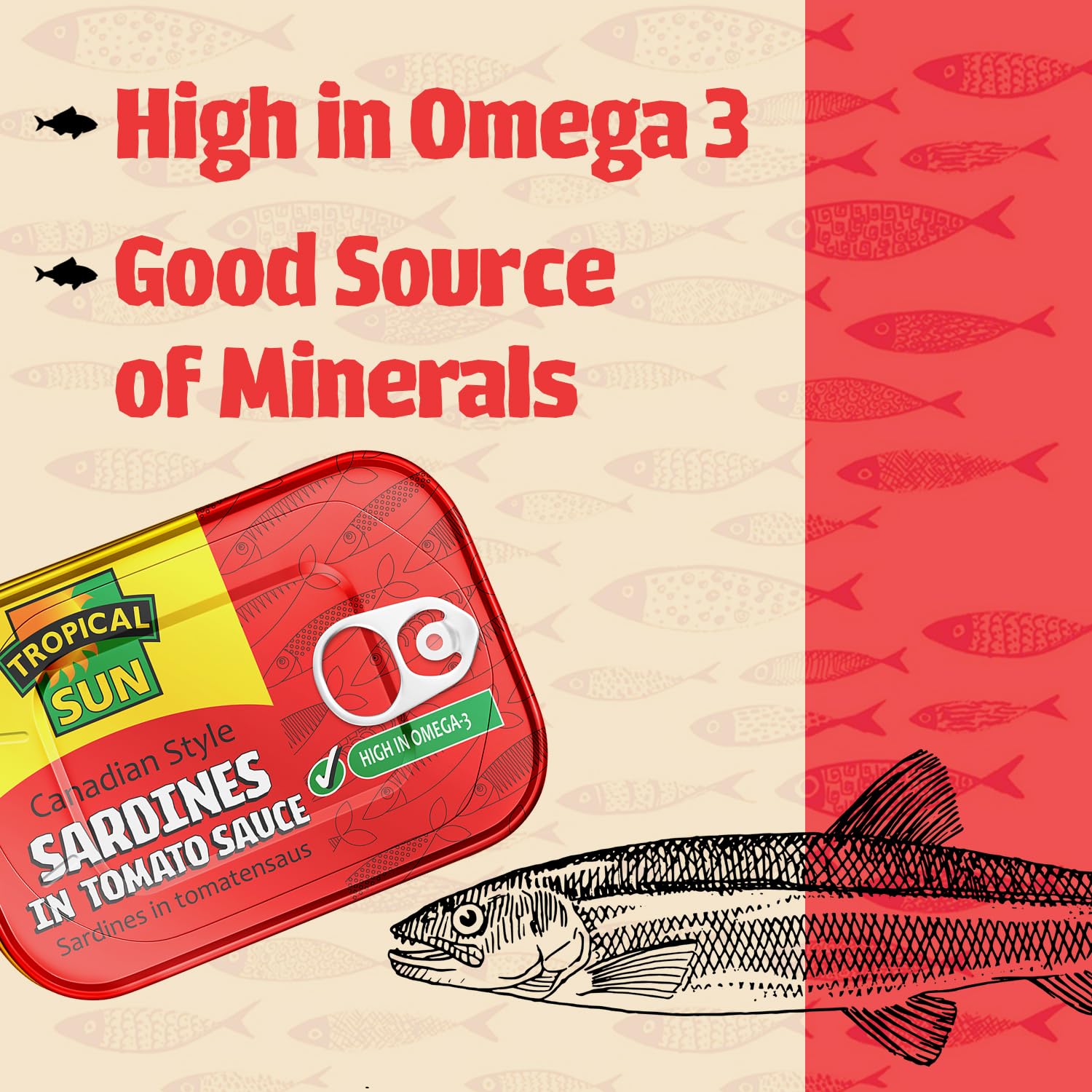 Tropical Sun Canadian Style Sardines in Tomato Sauce, 106g (Pack of 12) 2