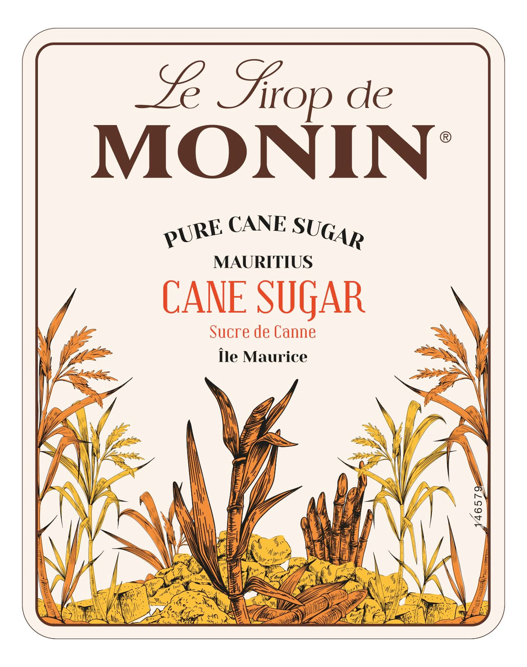MONIN Pure Cane Sugar Syrup 700ml - Vegan, Allergen-Free Sweetener for Coffee, Cocktails & Beverages