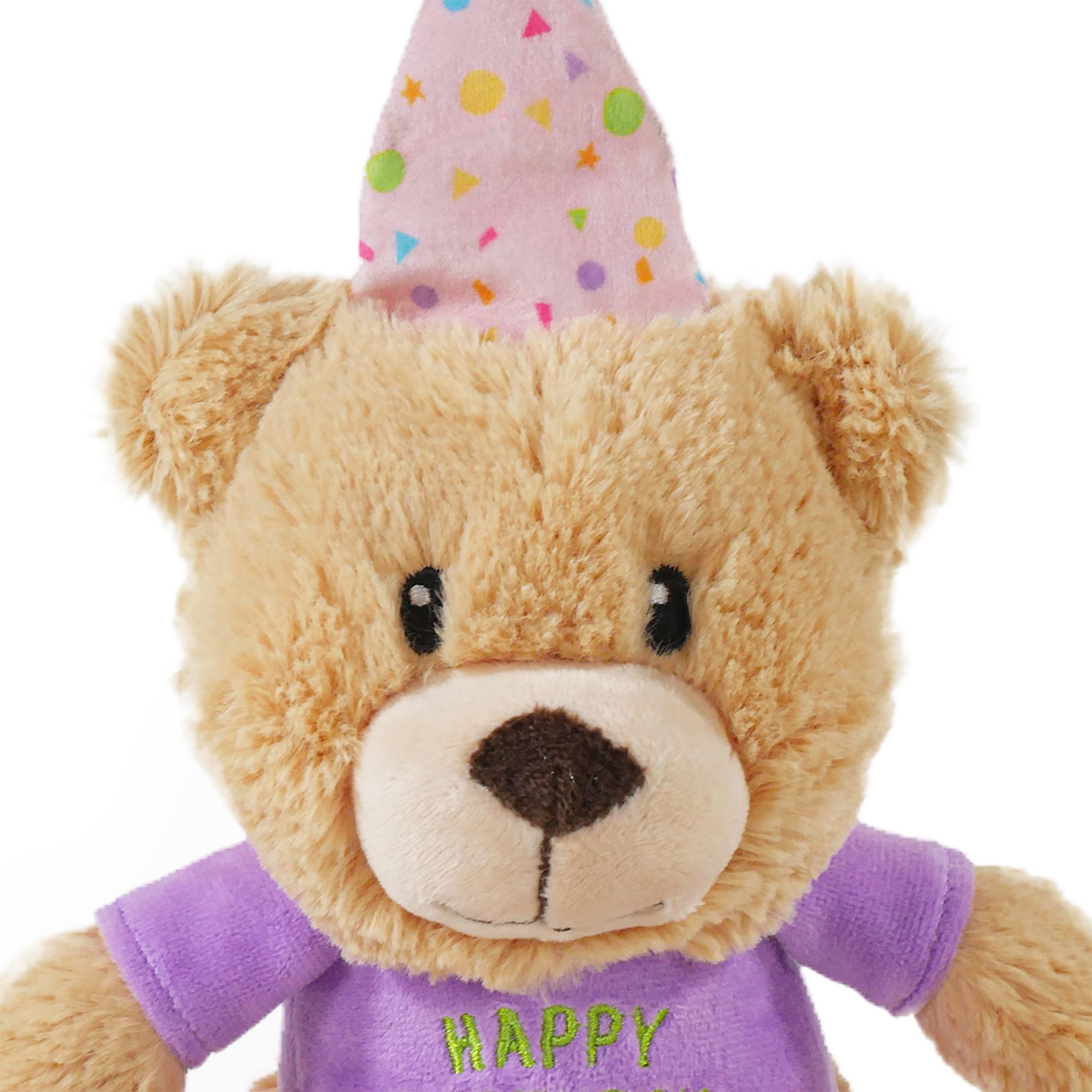 Rosewood Bonnie Birthday Bear Dog Toy - Plush Squeaky Toy for All Dogs | Multi-Coloured