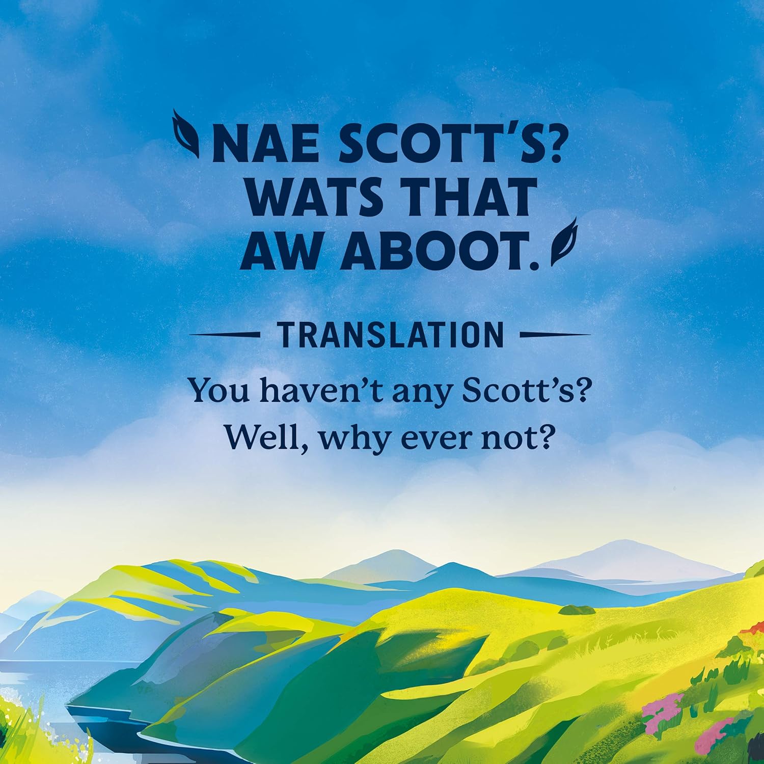 Scott's Porage Original Porridge Oats, 1 kg 4