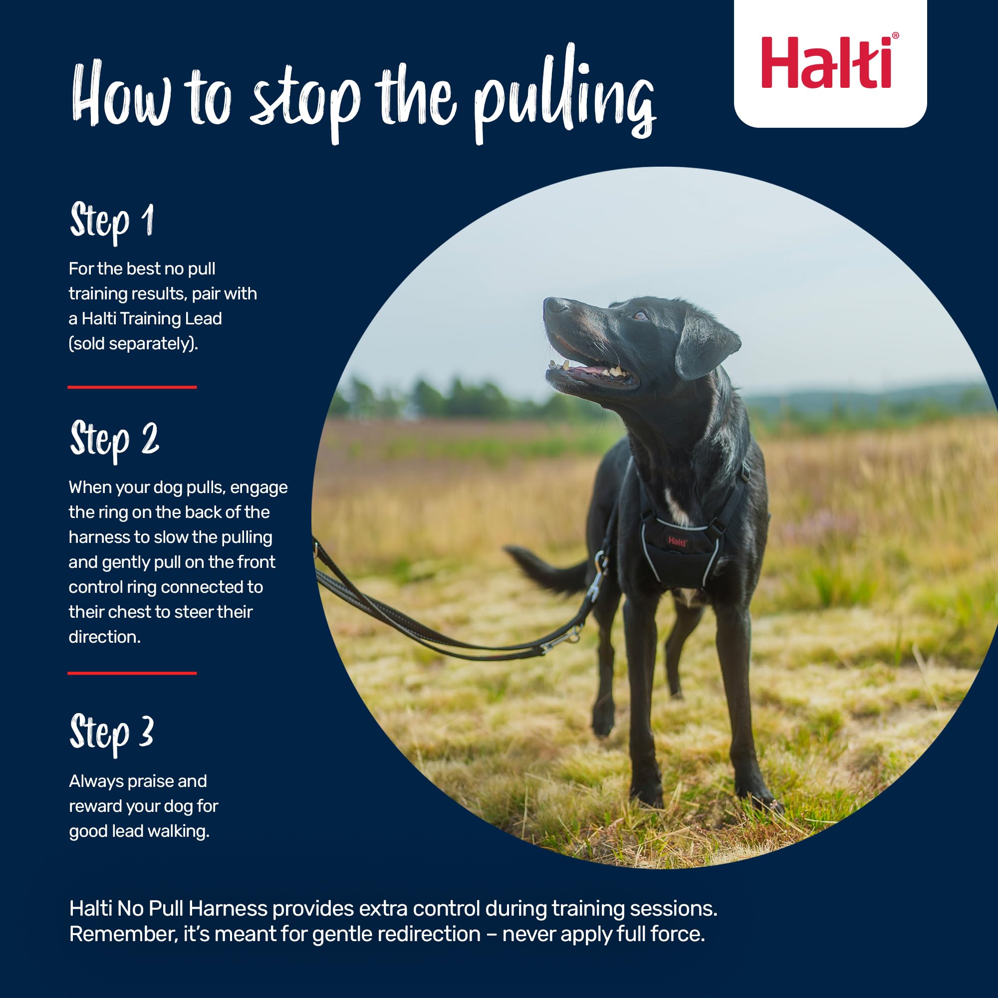 Halti No Pull Harness - Stops Pulling with Front Control Steering | Size M | Desert Sand 4