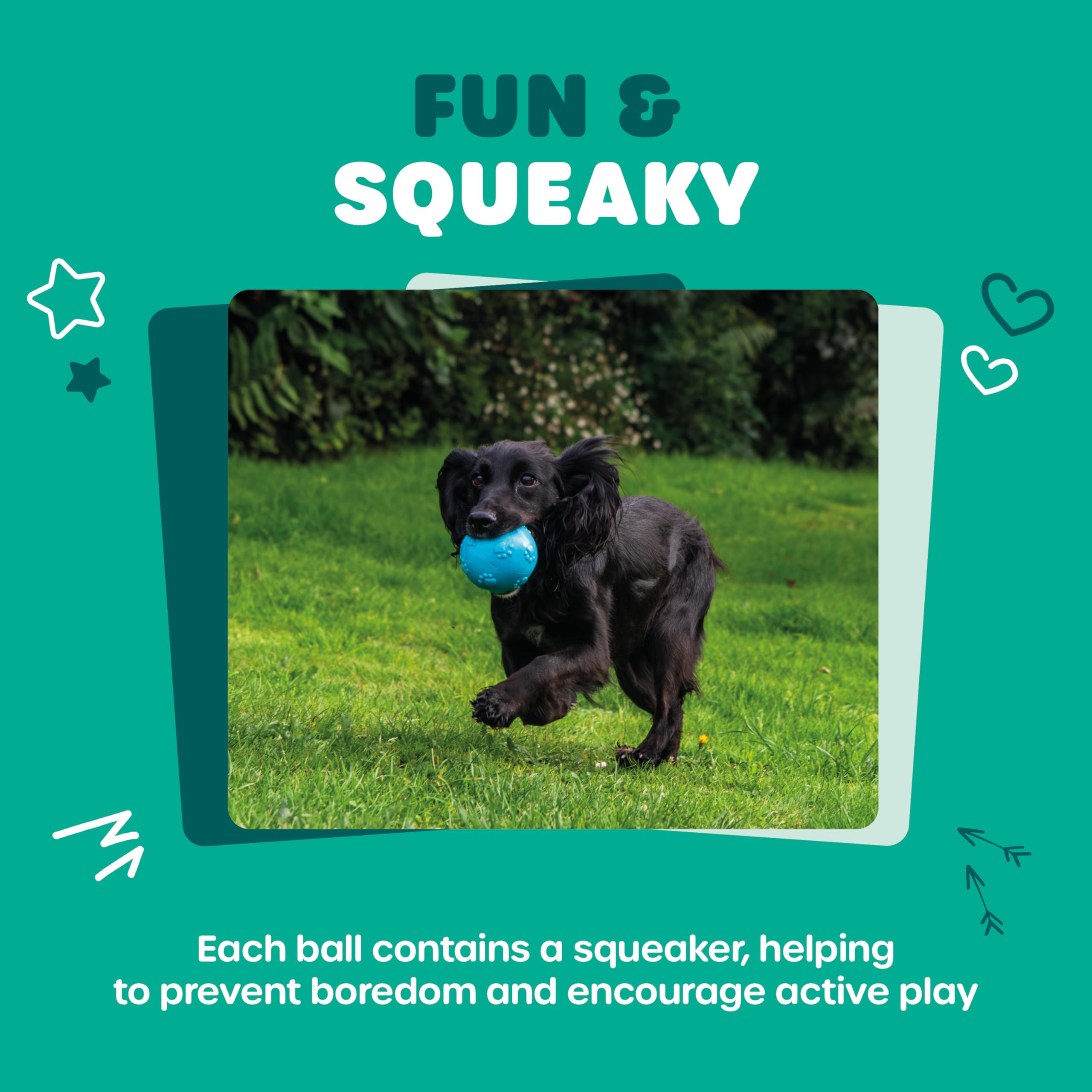 Webbox Fun & Squeaky Balls - 4 Pack for All Breed Sizes | Anxiety Relief | Exercise