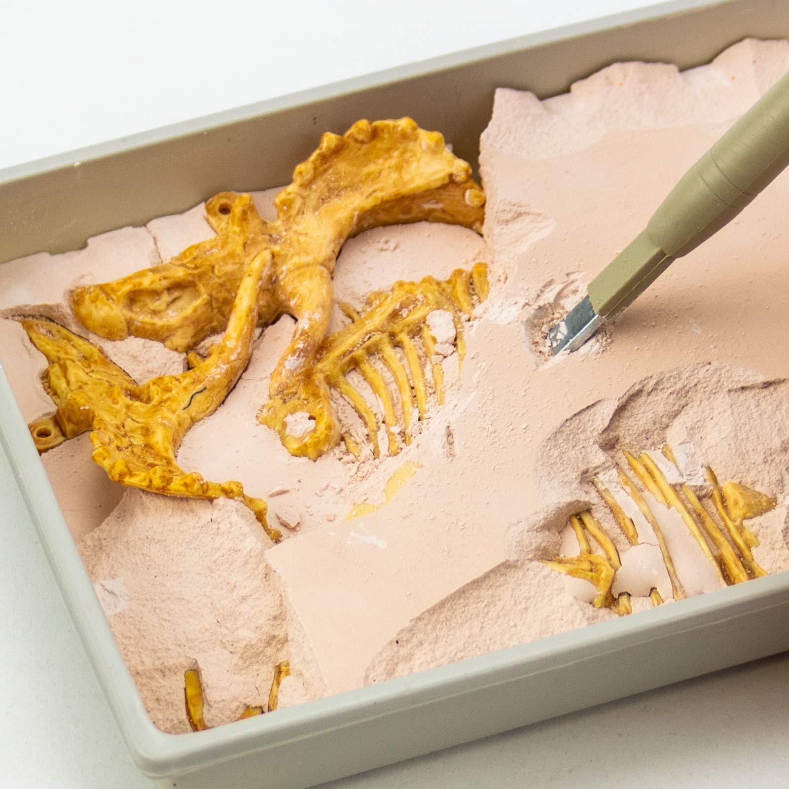 Science4you Triceratops Fossil Digging Kit - 10-Piece Dinosaur Excavation Set for Kids 6+ 10