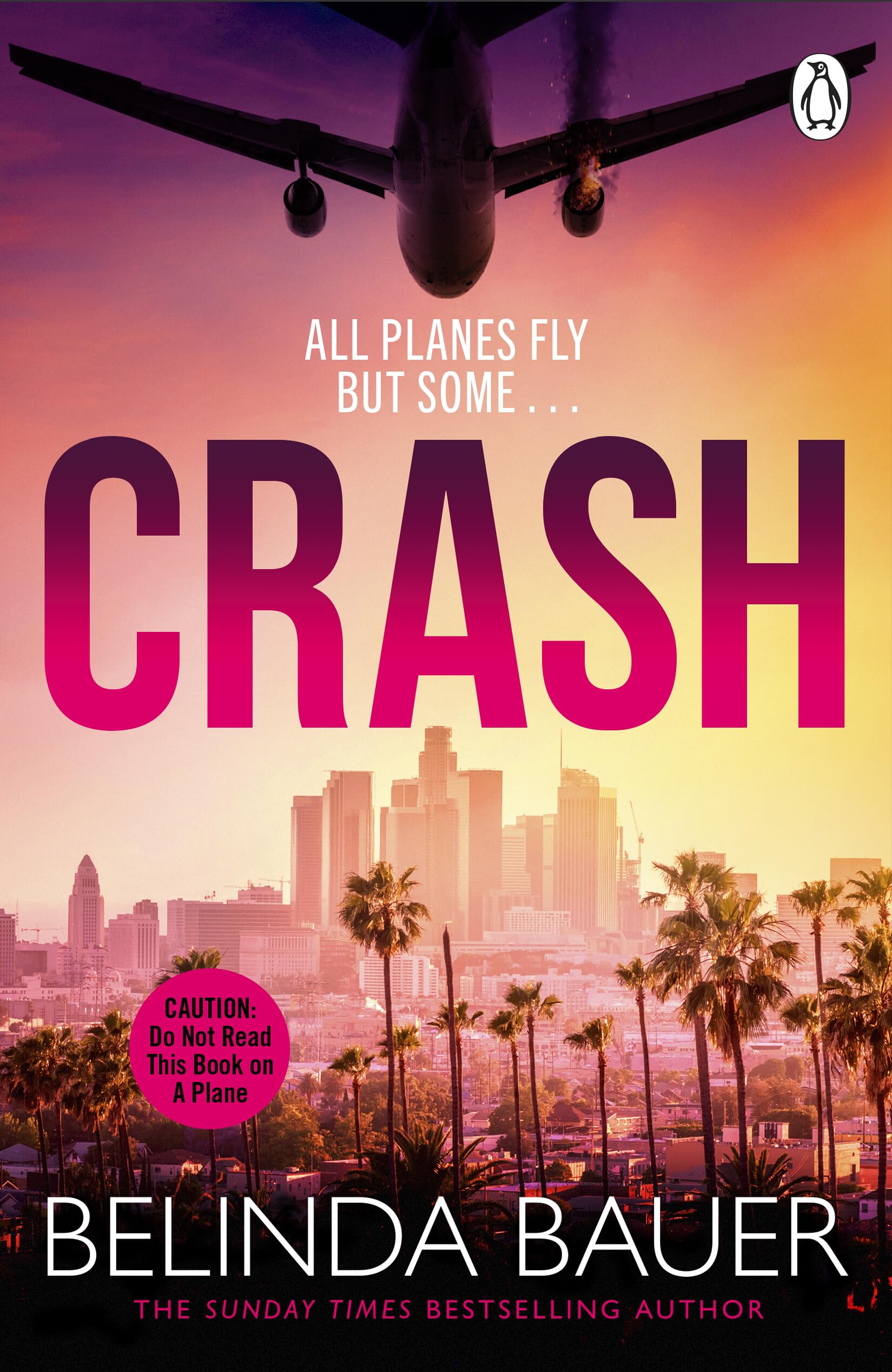 Crash: A Technothriller by Belinda Bauer (Paperback) 1