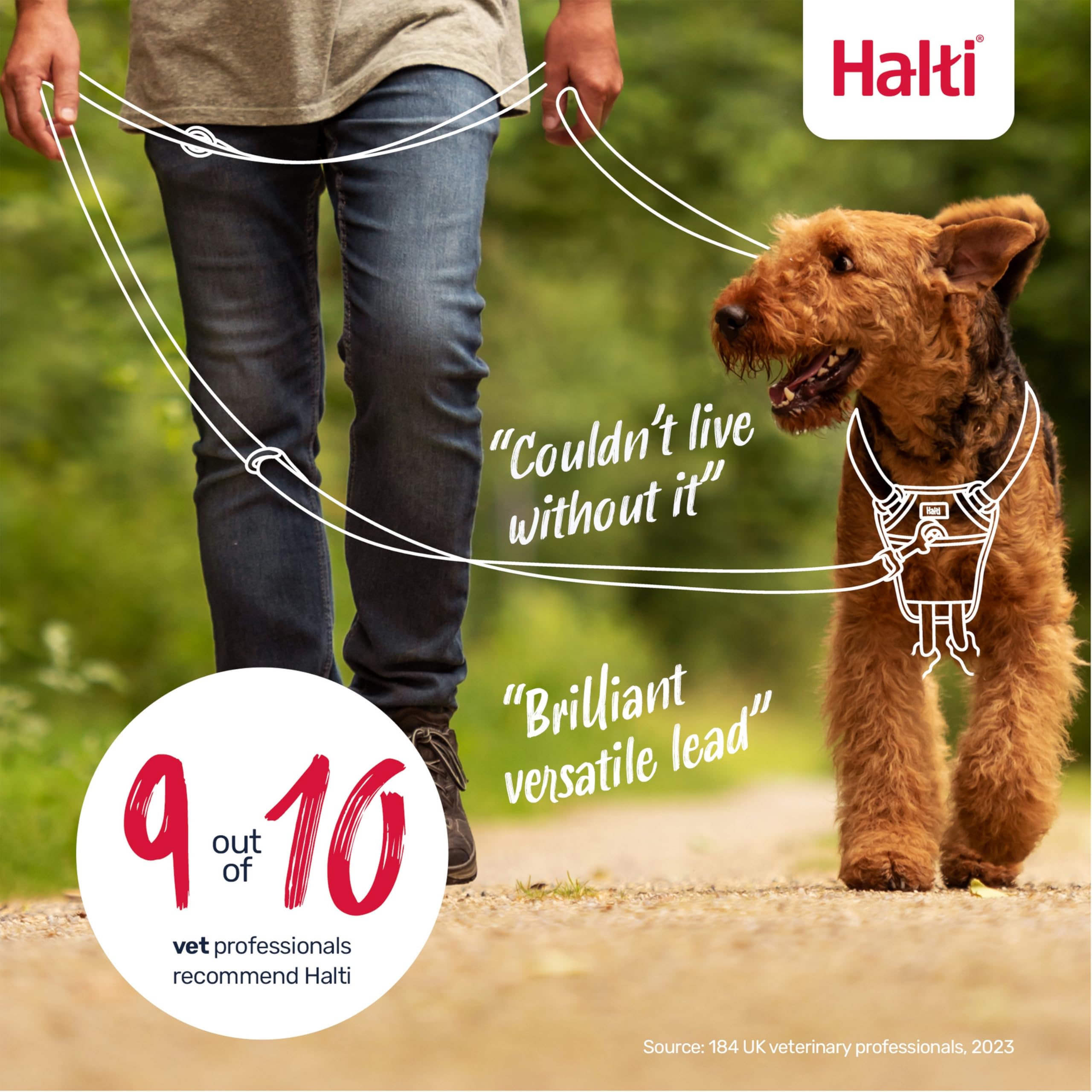 Halti Training Lead - Stops Pulling | Double-Ended | Size Small, Desert Sand, 2m 6