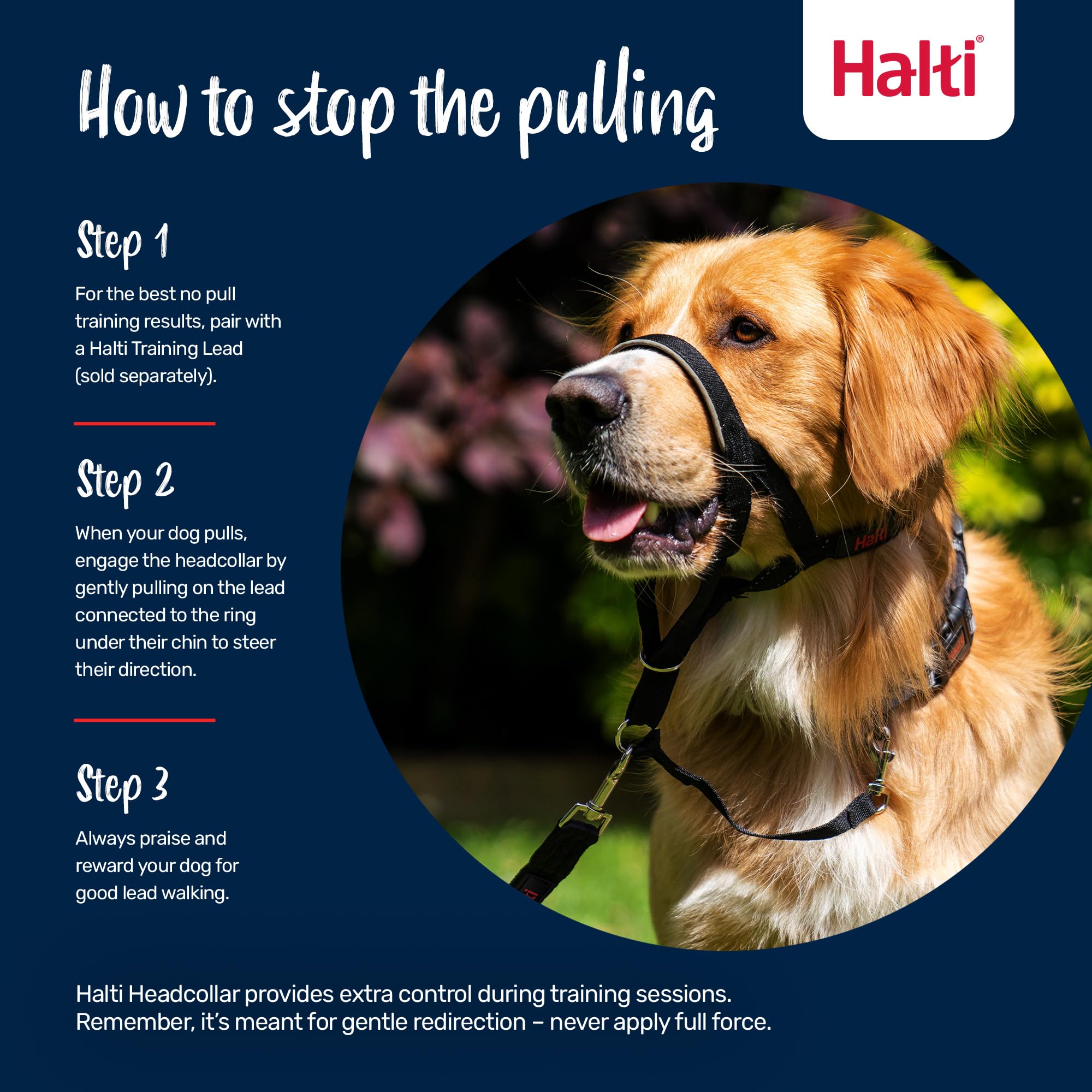 Halti Headcollar - Anti-Pull Training Aid for Large Dogs | Size 4 Black | Reflective 4