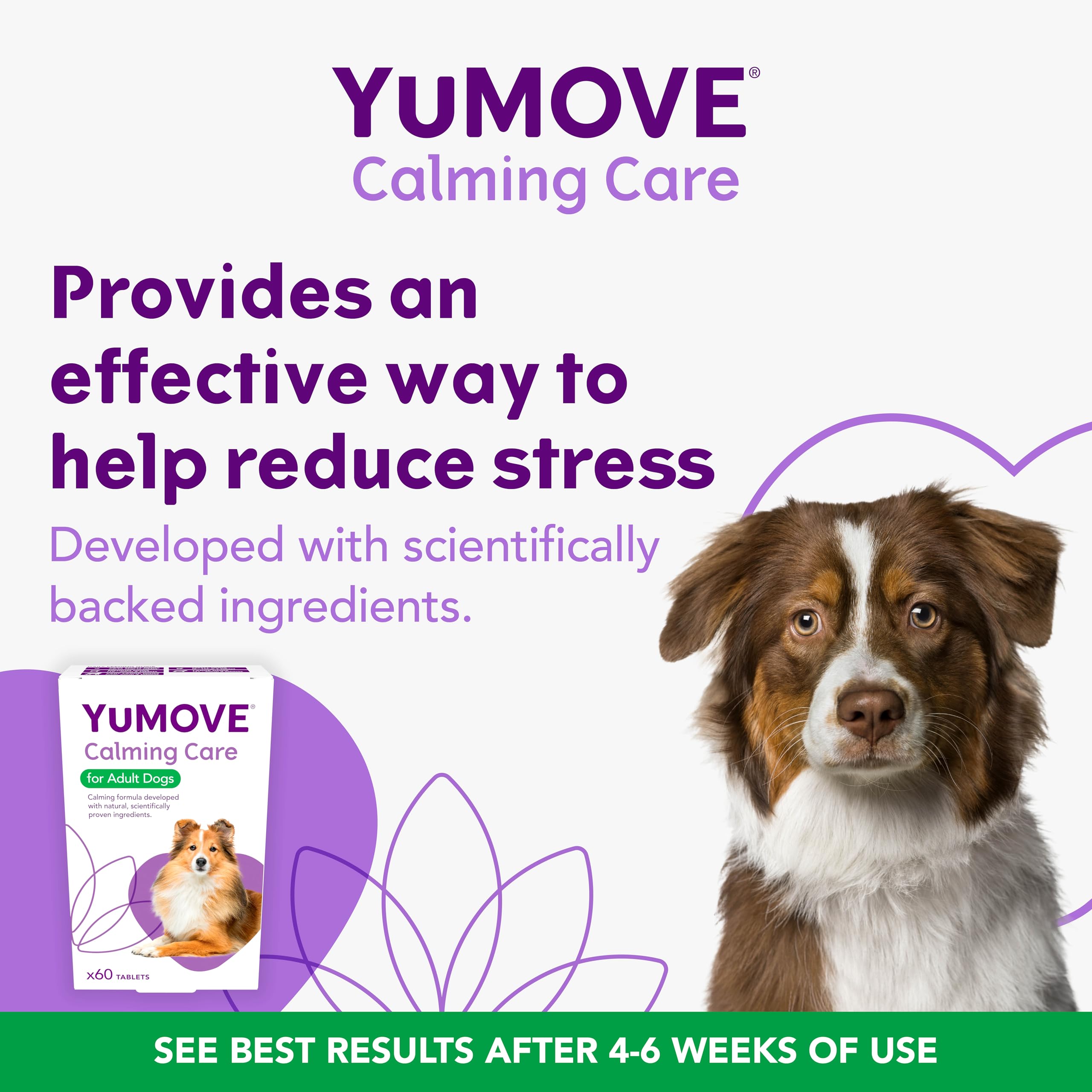 YuMOVE Calming Care for Adult Dogs - 60 Tablets | Supports Relaxation & Reduces Stress