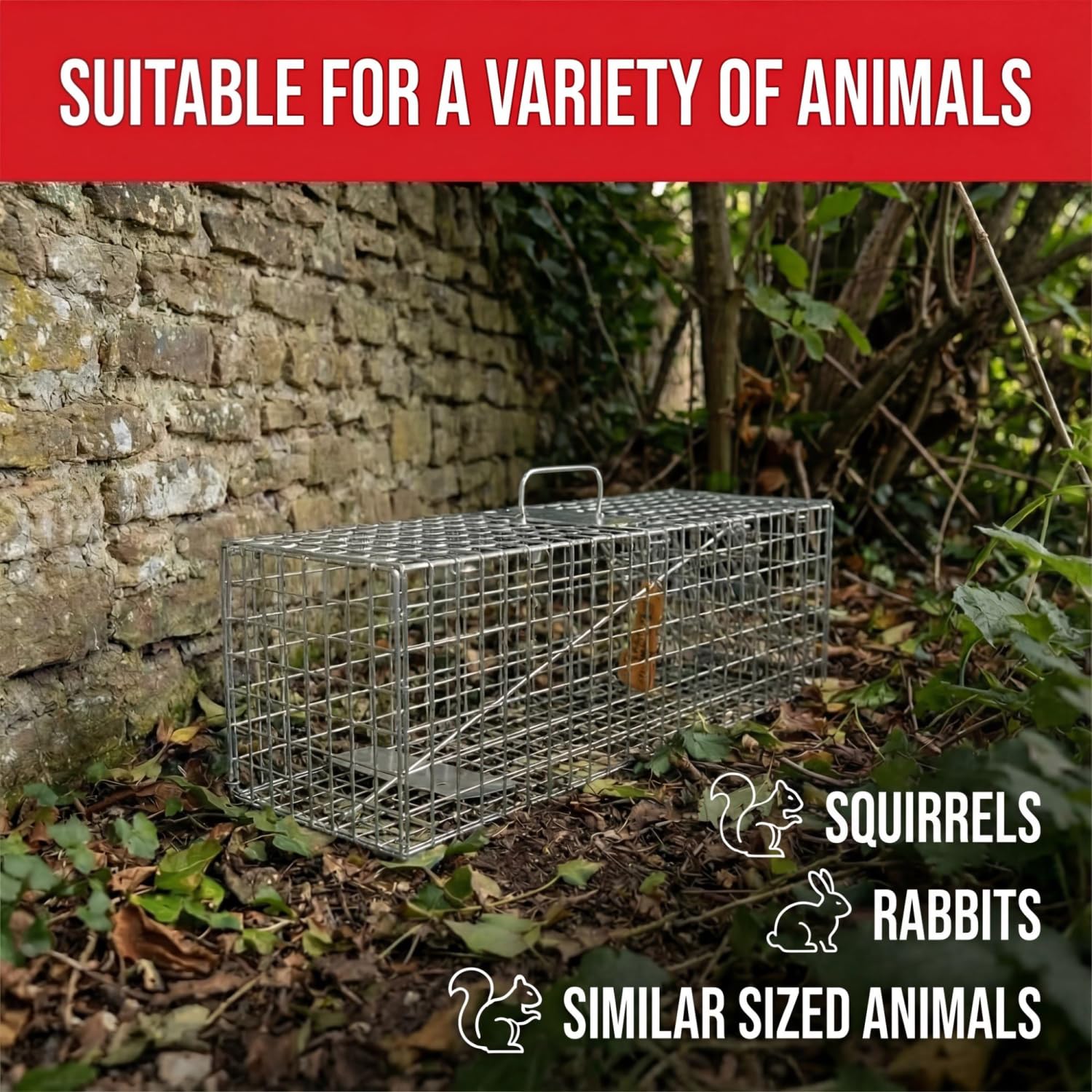 Defenders Live Animal Trap - Humane Capture | Small Cage | Galvanised Mesh