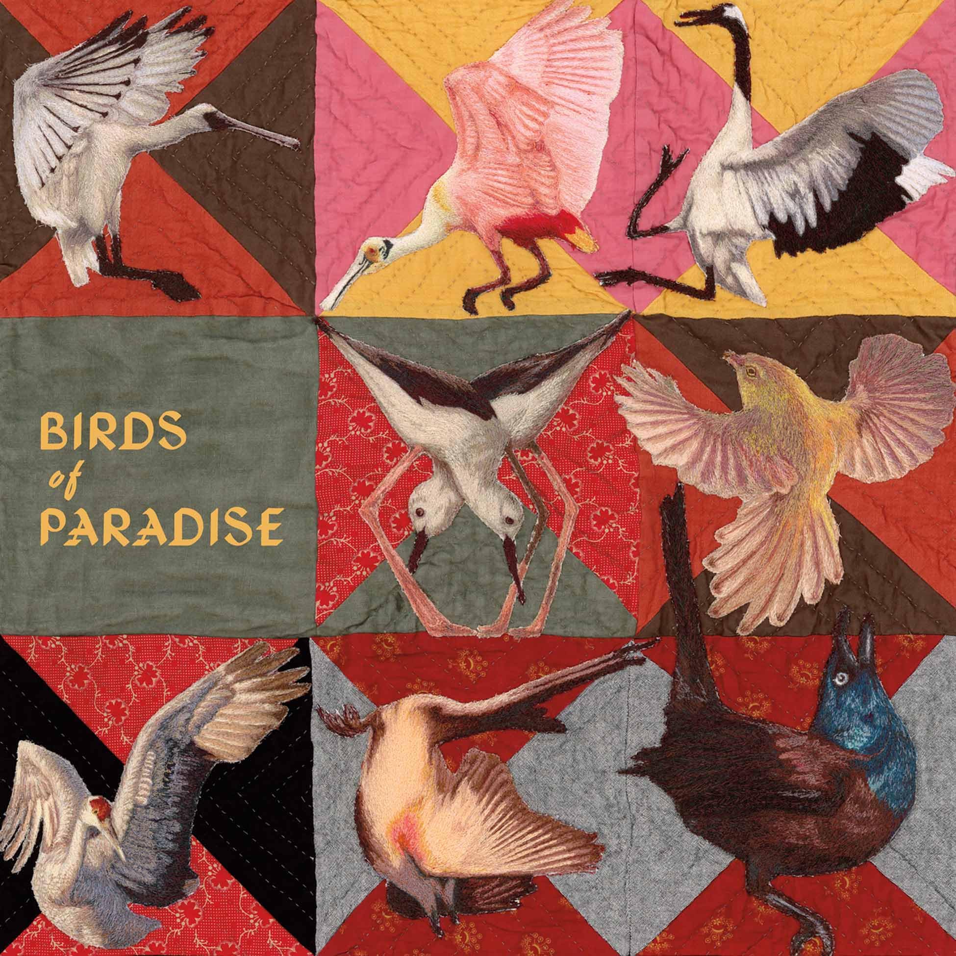 Thomas Dollbaum - Birds Of Paradise [Vinyl] 1