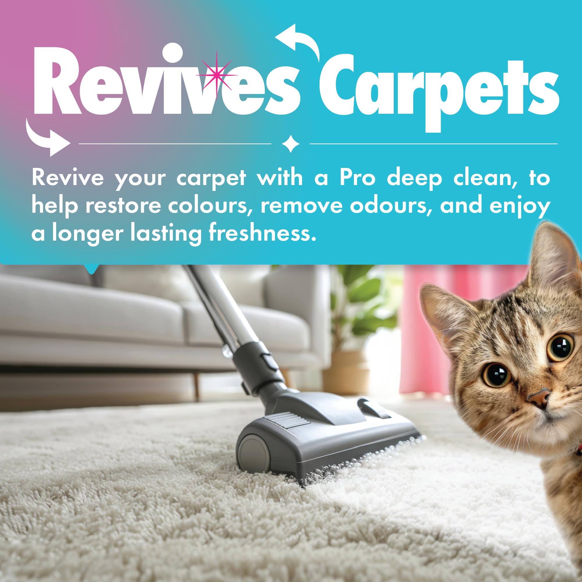 Dirtbusters - Pet Pro Carpet Cleaner Shampoo (1 Litre Concentrate) 14