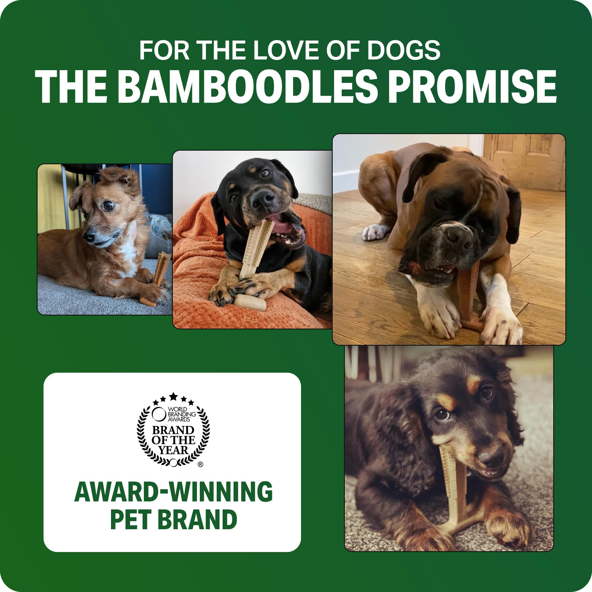 Bamboodles T-Bone Dog Chew Toy - Medium Size | Peanut Butter Flavour | Durable Bamboo Blend 7