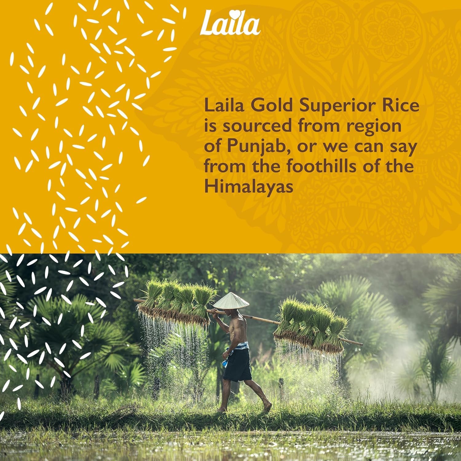 LAILA - Gold Basmati Rice Extra Long Grain 1kg 3