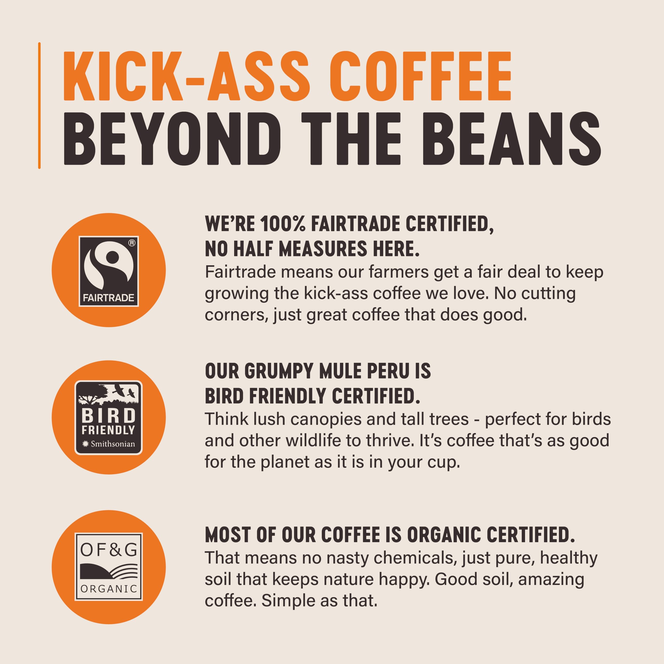 Grumpy Mule Peru Café Feminino Organic Ground Coffee - Dark Chocolate & Citrus Notes | Roast 4 5