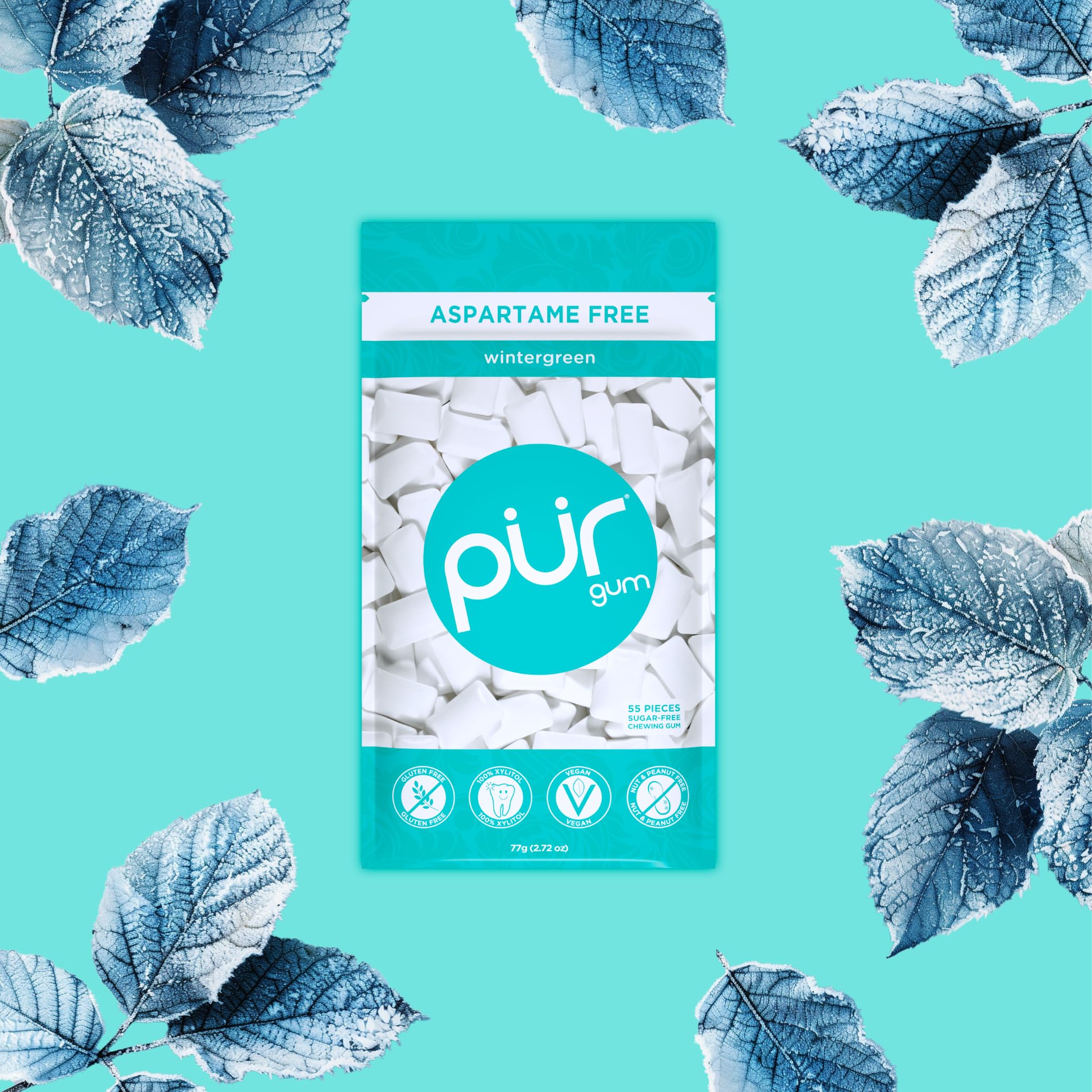 PUR Gum Sugar Free Chewing Gum - Natural Wintergreen, Xylitol Sweetened | Vegan, Keto Friendly (3 Pack of 55 Count) 3