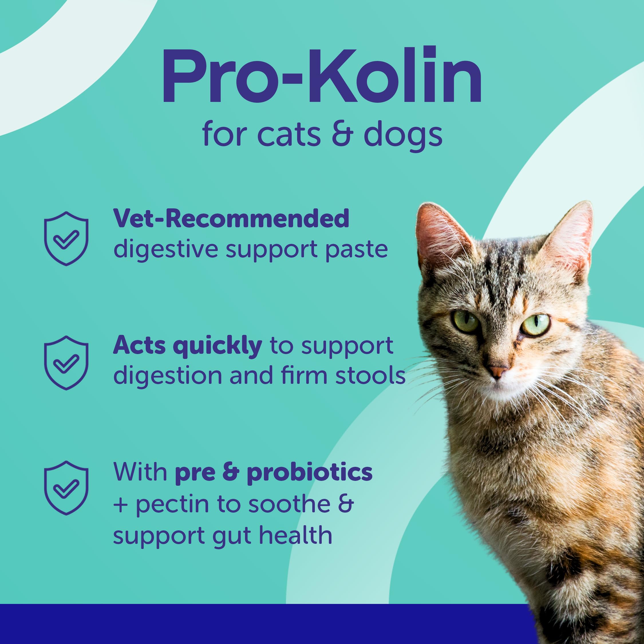 Protexin Pro-Kolin Probiotic Paste for Dogs and Cats - Digestive Support | 60 ml Syringe