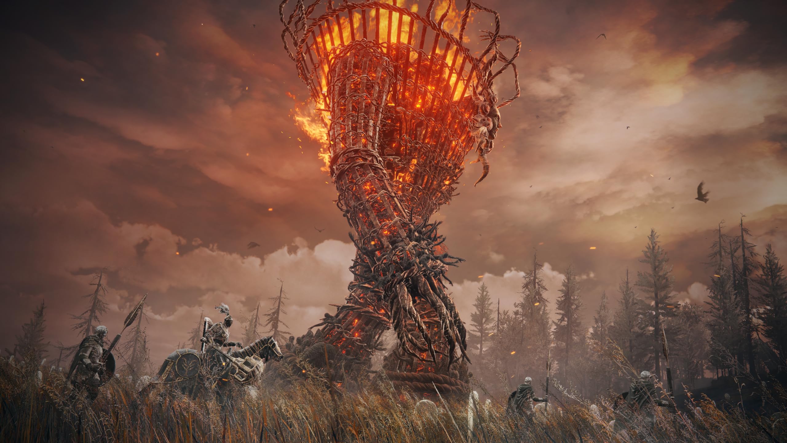 Elden Ring: Shadow of the Erdtree Edition [Xbox Series X] 5
