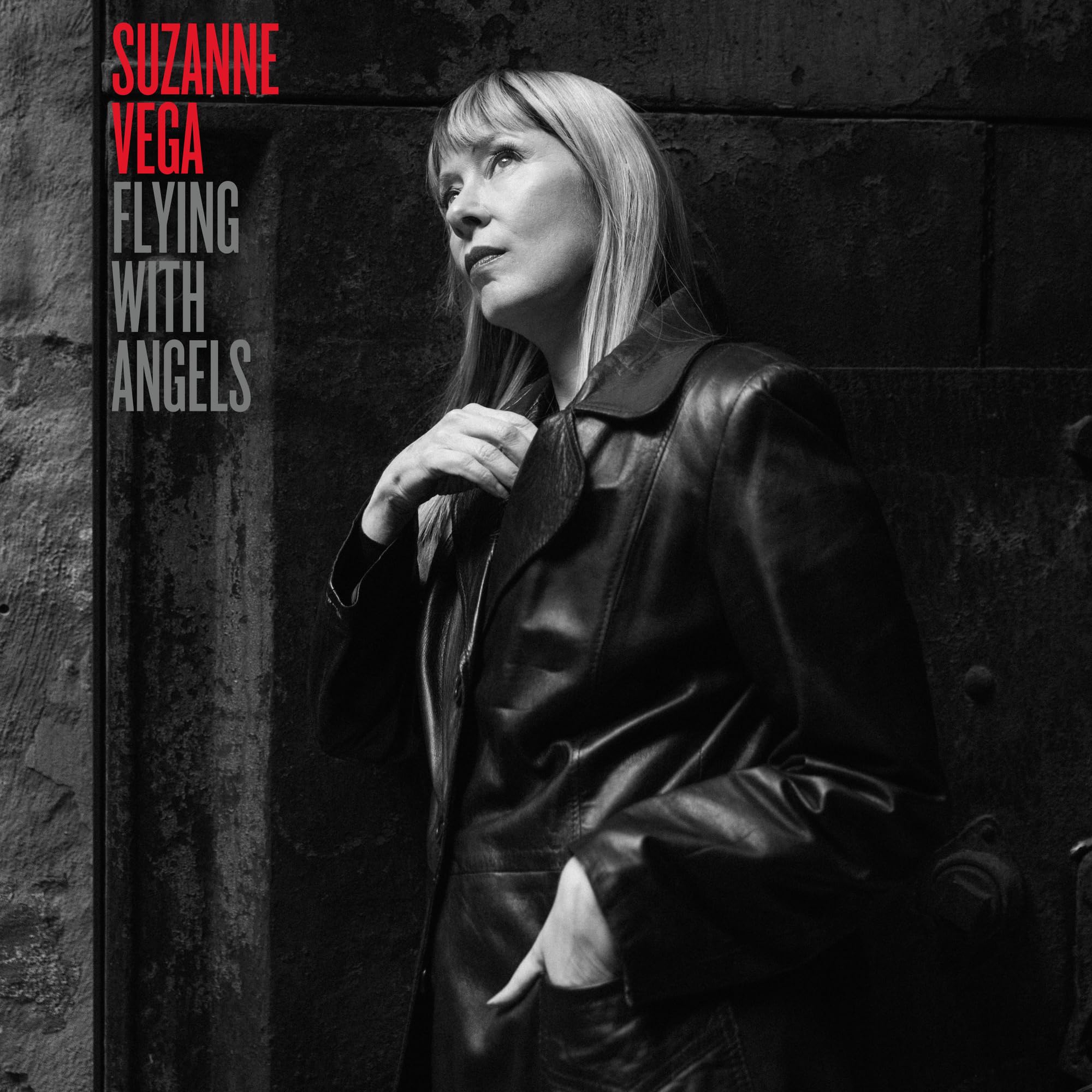 Suzanne Vega - Flying With Angels Audio CD