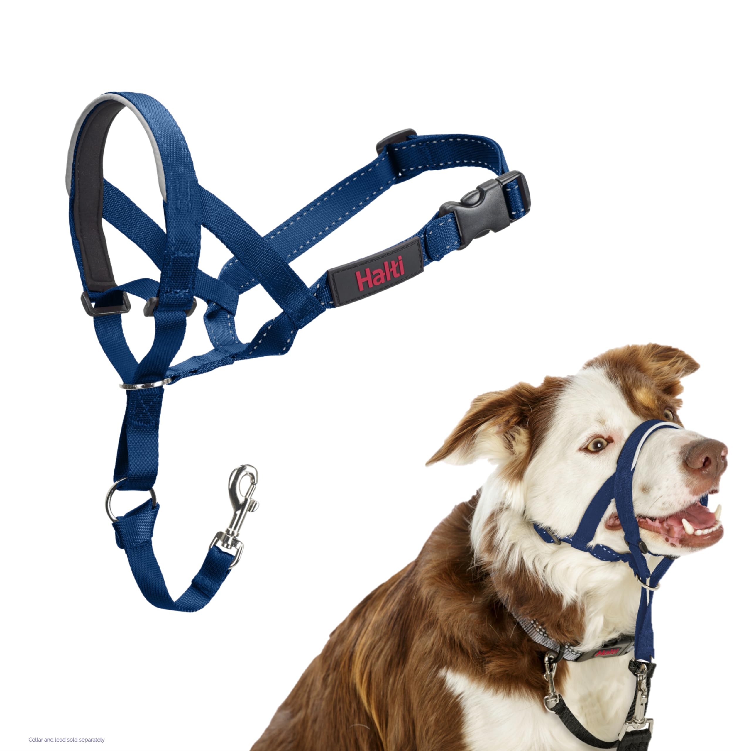 Halti Headcollar - Stop Pulling, Reflective Accents | Size 2 Cobalt Blue