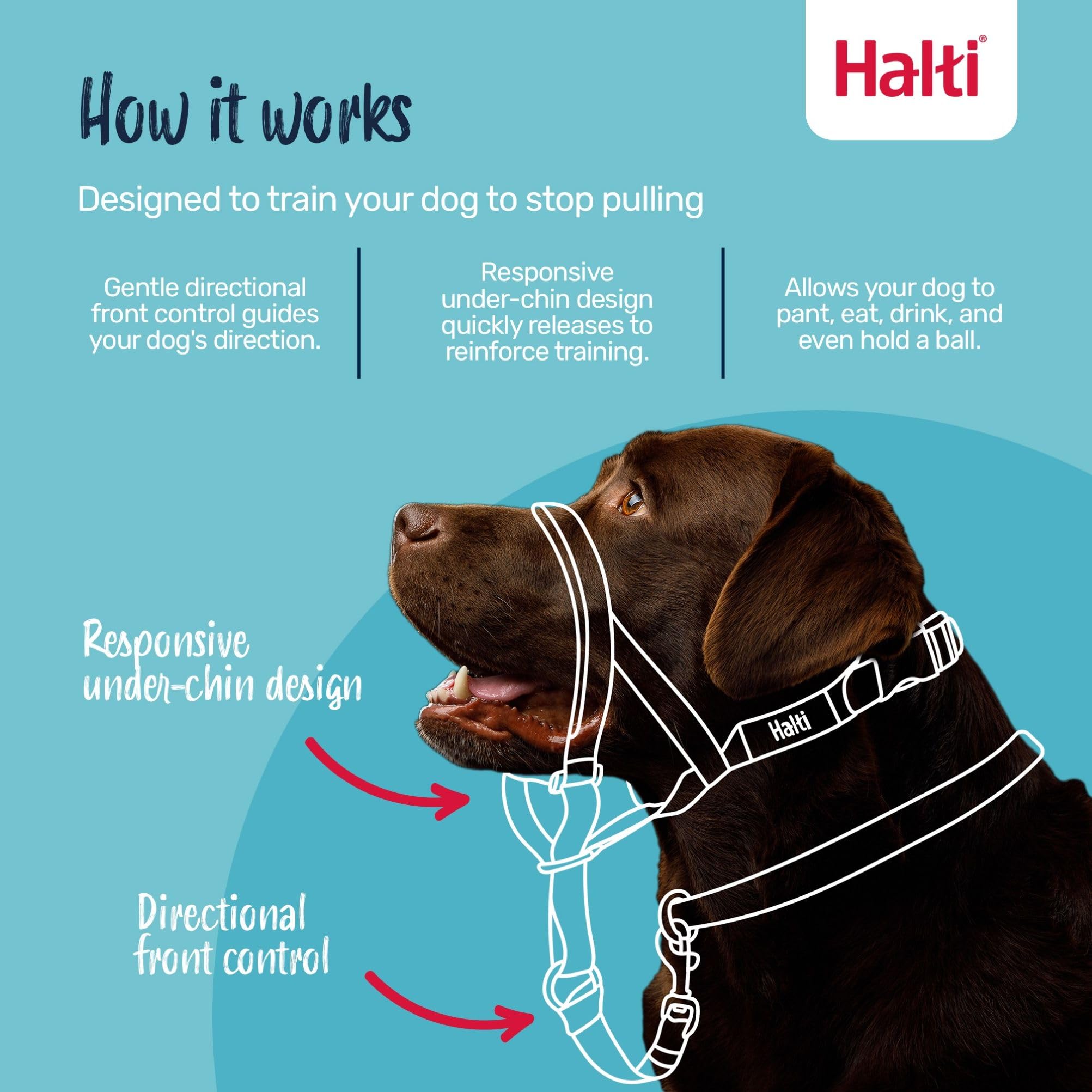 Halti Headcollar - Stops Pulling | Reflective Accents | Size 2 Deep Walnut