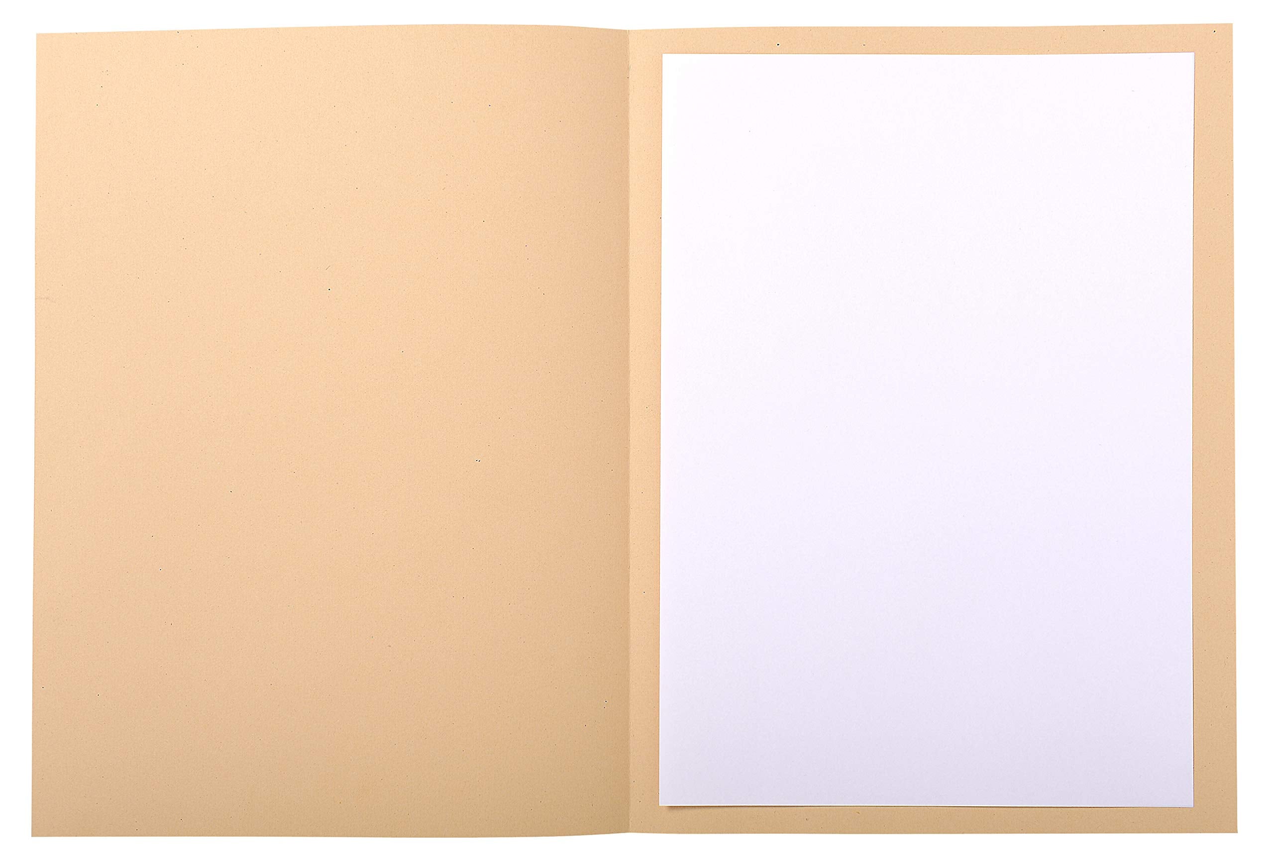 Exacompta Forever Printed Square Cut Folder - 50 Pack | A4 | 220 gsm Card | Assorted Colours 2