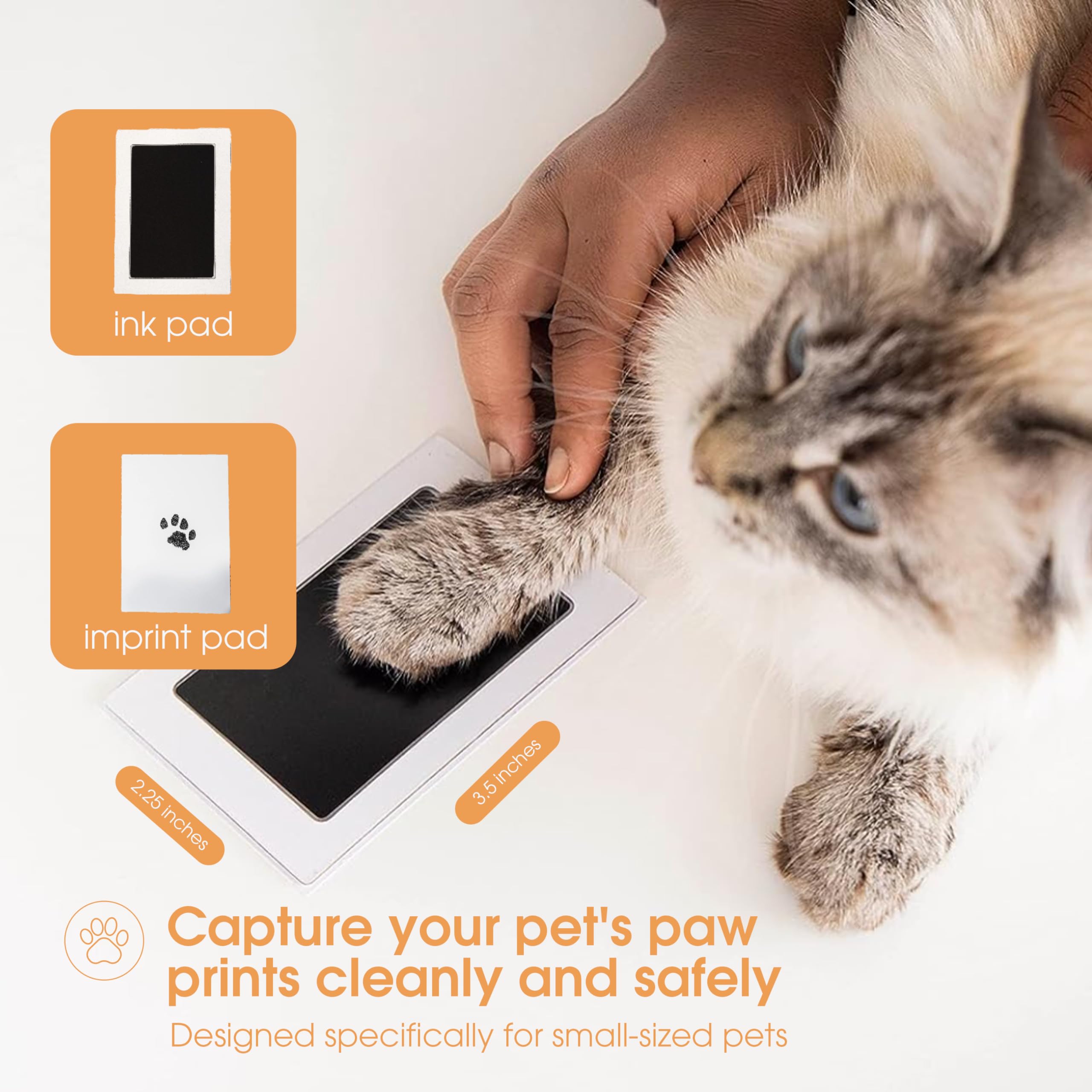 Pearhead Paw Print Clean Touch Ink Pad Kit for Dogs and Cats | Mess-Free Keepsake