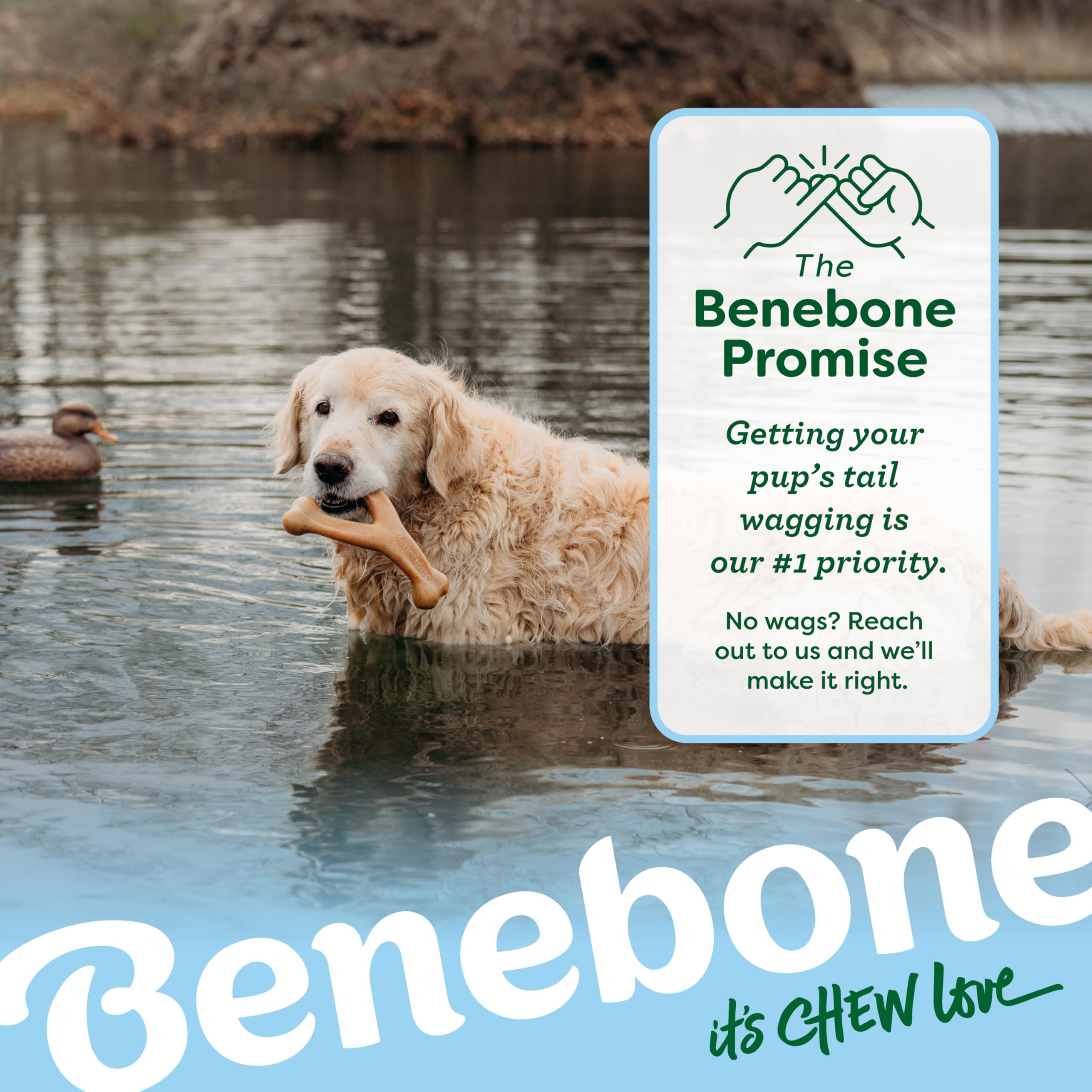Benebone Wishbone Durable Chew Toy - Limited Edition Duck Flavor | Medium Size | Made in USA 7