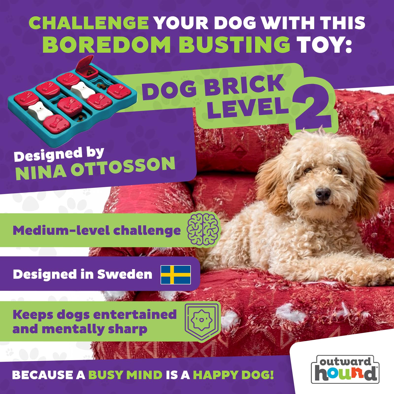 Outward Hound Nina Ottosson Dog Brick Interactive Treat Puzzle Toy - Level 2 Intermediate | Plastic