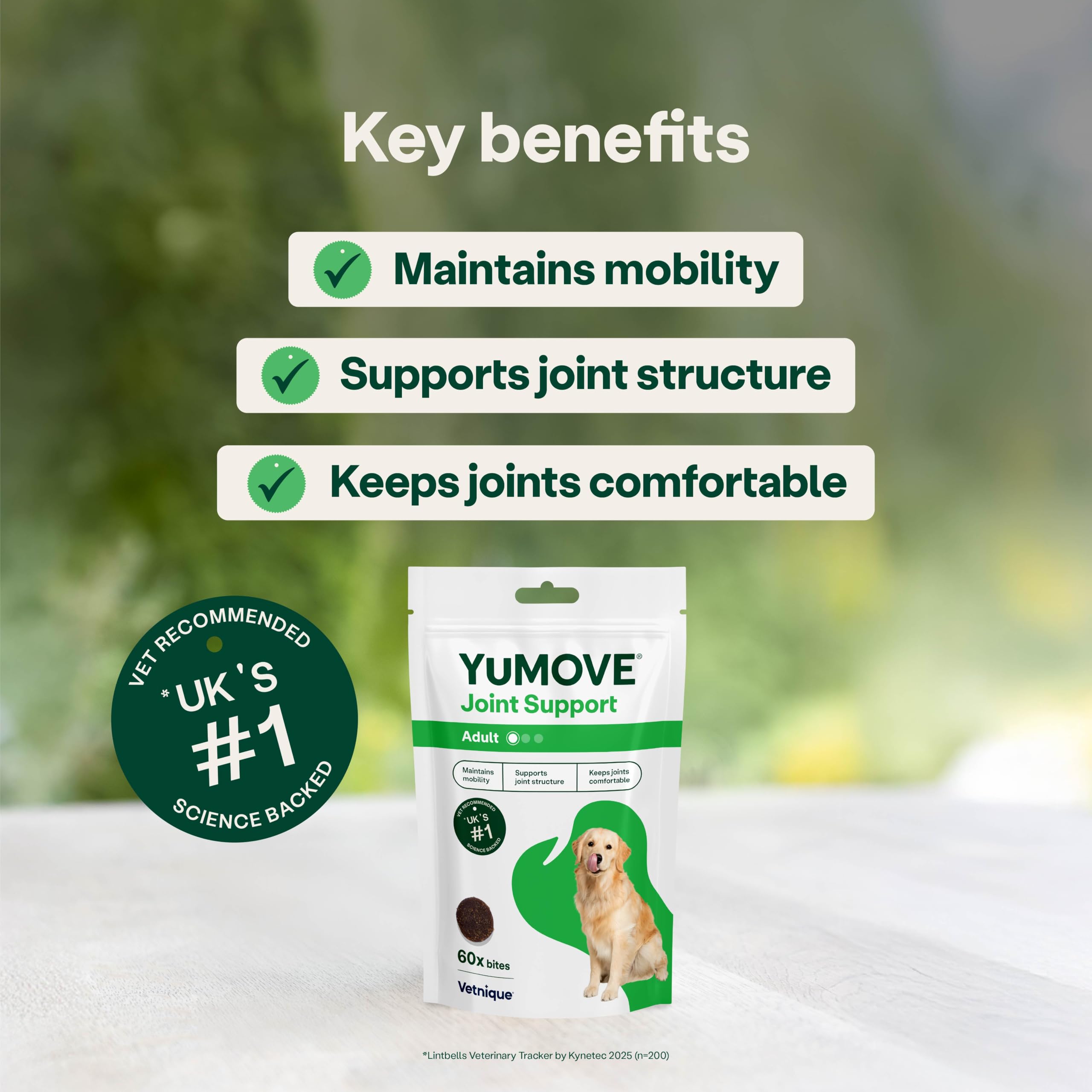 YuMOVE Adult Dog Joint Supplement - Aids Mobility, Reinforces Joint Structure | 60 Chews 3