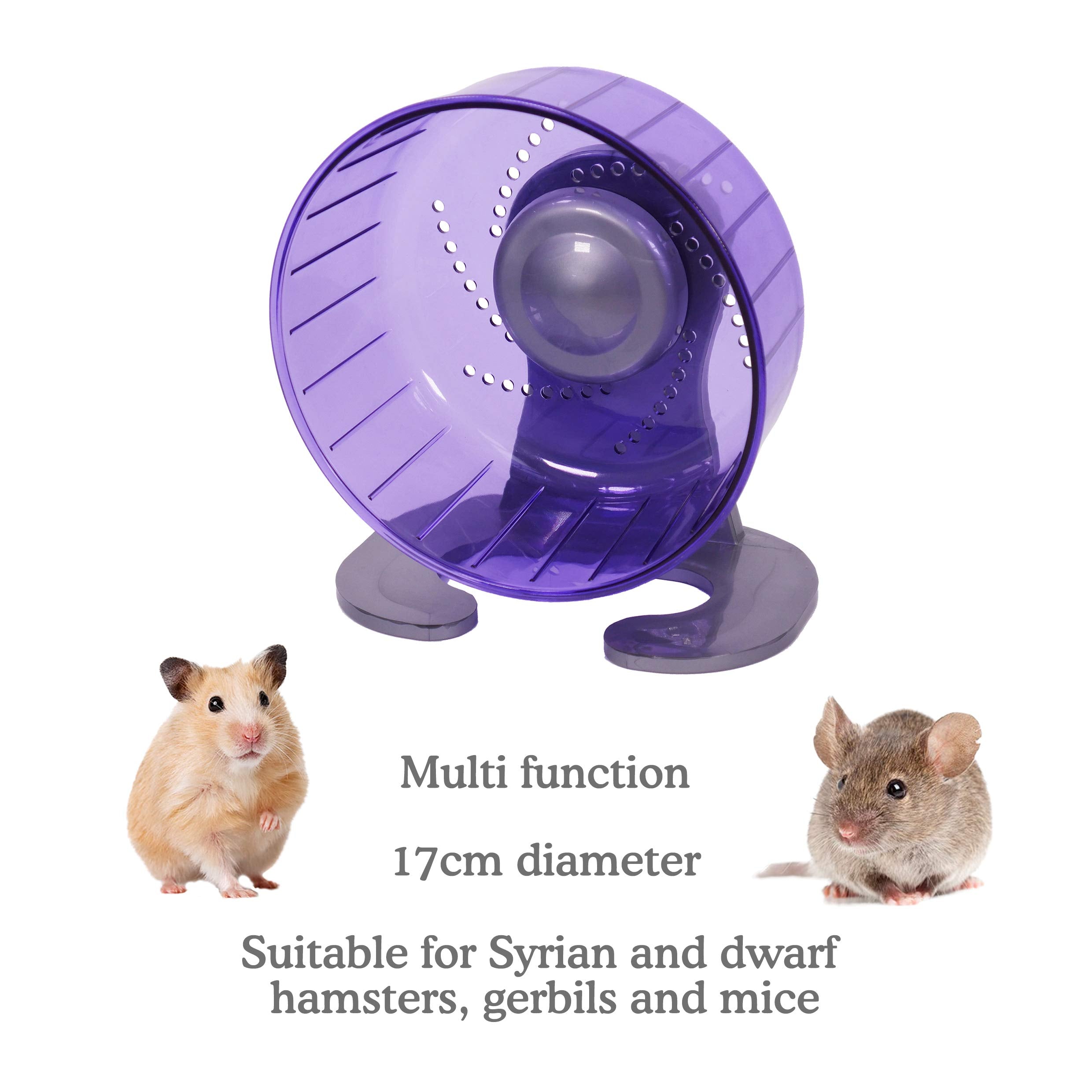 Rosewood Pico Exercise Wheel - 17cm Diameter | Free-Standing or Cage Mountable | Purple 5