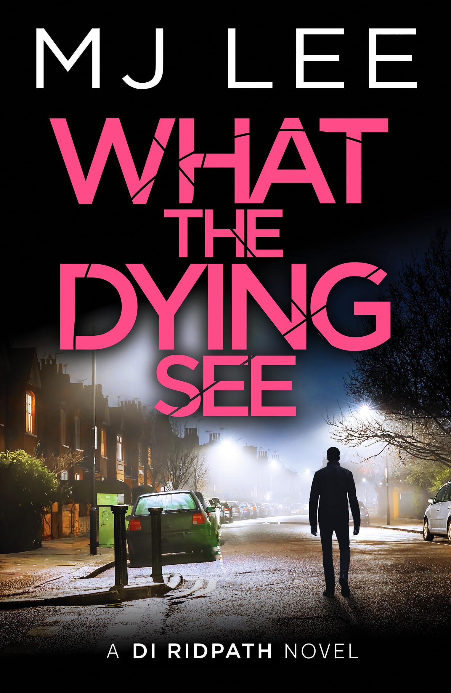 Canelo What the Dying See: DI Ridpath Crime Thriller Book 12 | Paperback | English 1