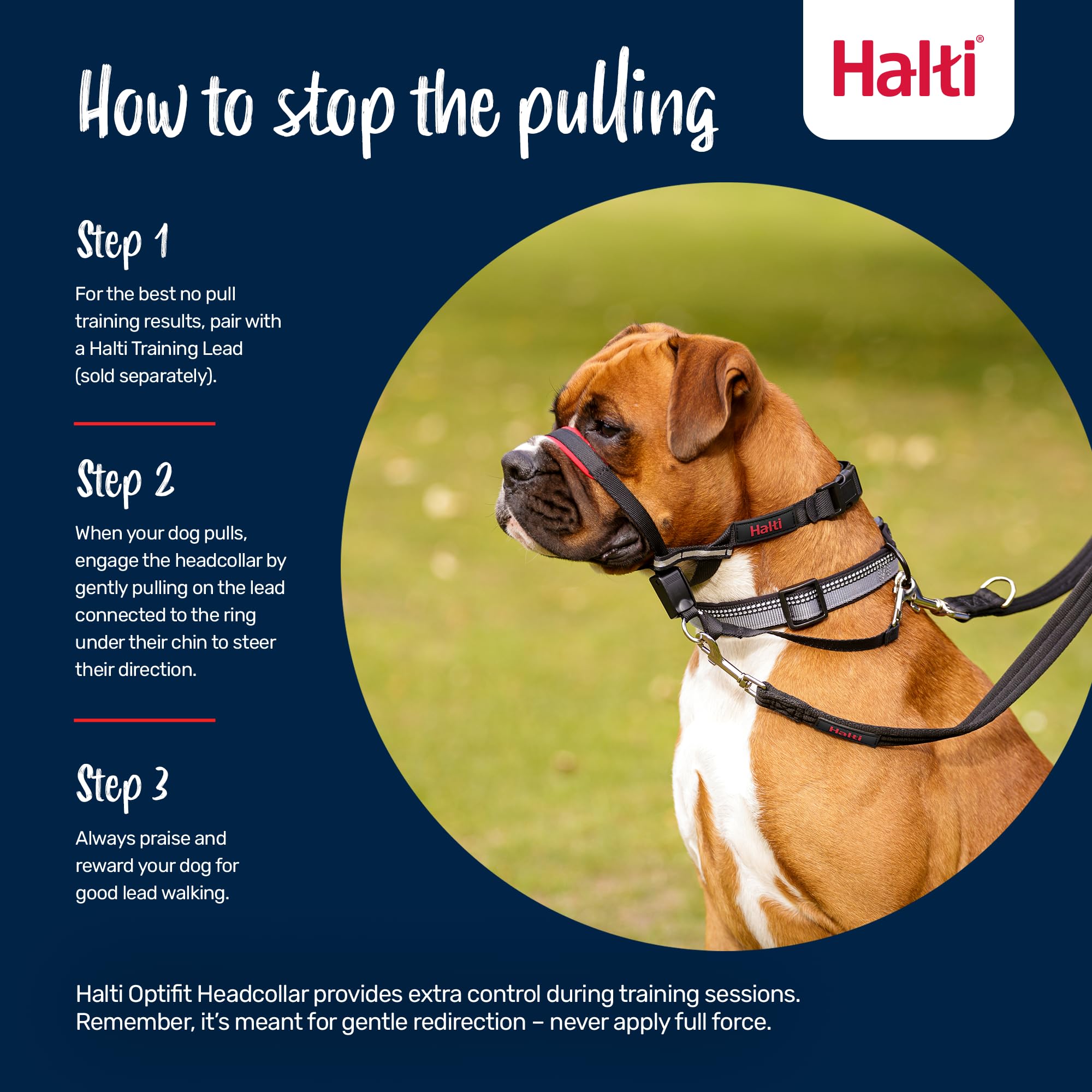 Halti Optifit Headcollar - Stops Pulling, Adjustable Fit for Dogs | Medium, Black 4