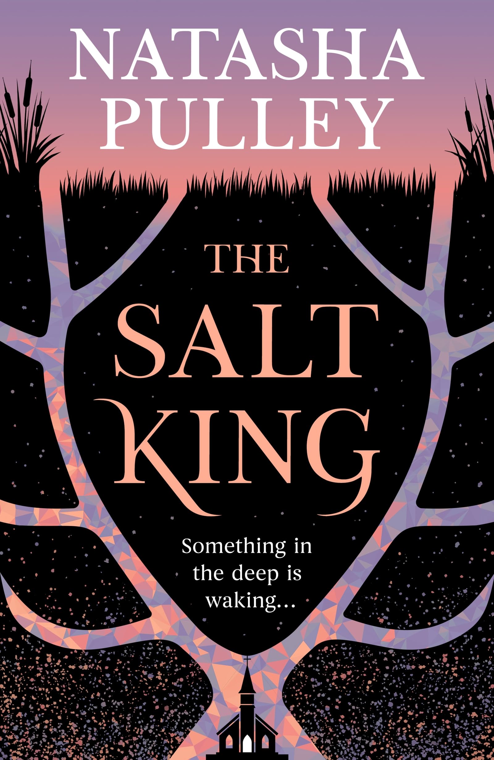 Gollancz The Salt King - Folk Horror Thriller | Hardcover | 464 Pages
