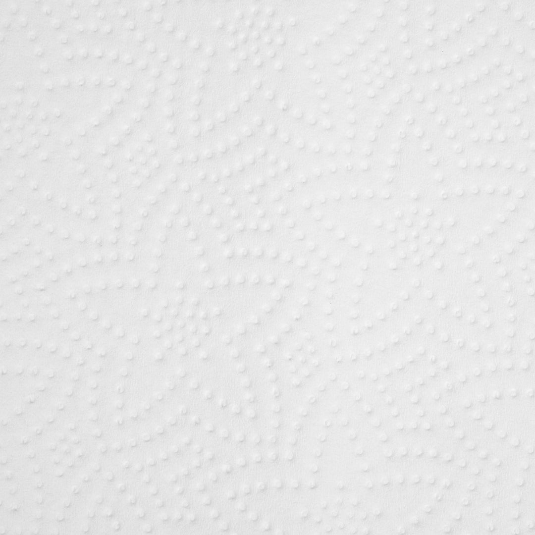 Blake & White - 3 Ply Kitchen Roll | Pack of 2 | FSC Certified | 100% Virgin Fiber