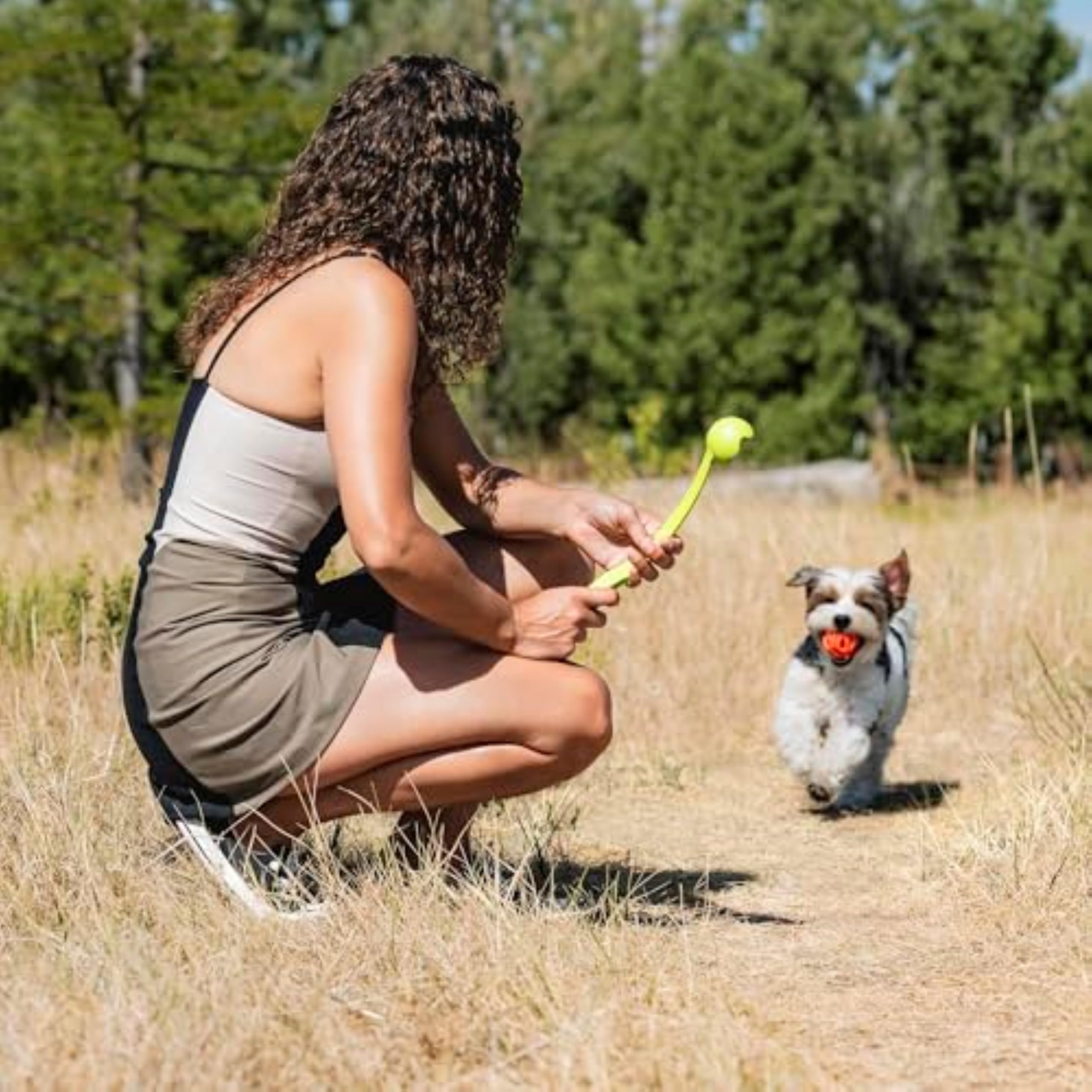 Chuckit! Air Fetch Ball - High Bounce Lightweight Rubber Dog Toy | Medium Size | Multi-colored