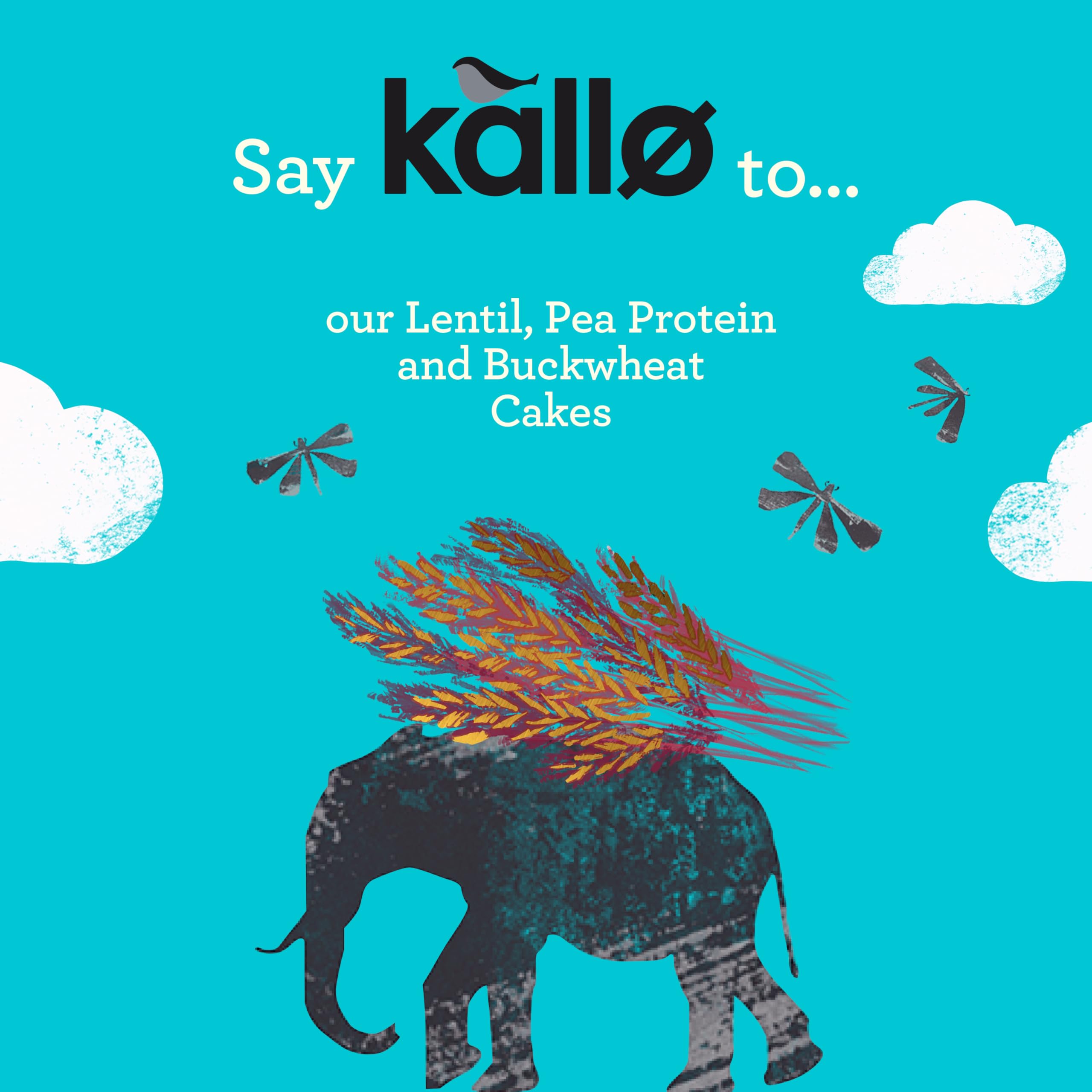 Kallo Protein Packed Lentil Cakes - High Protein, Gluten Free, Vegan Snack | 100g 3