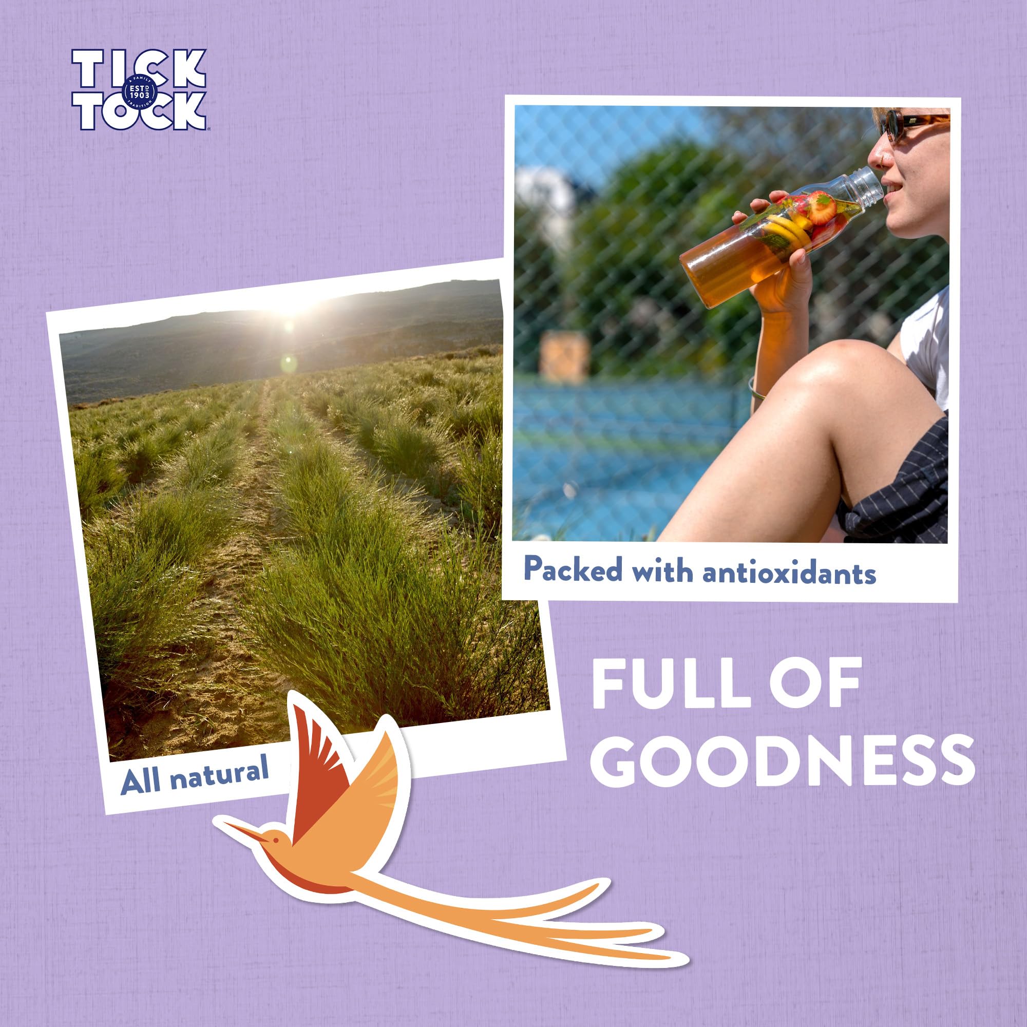 Tick Tock - Vanilla Rooibos Caffeine-Free Tea Pack of 4 x 40 Tea Bags 6