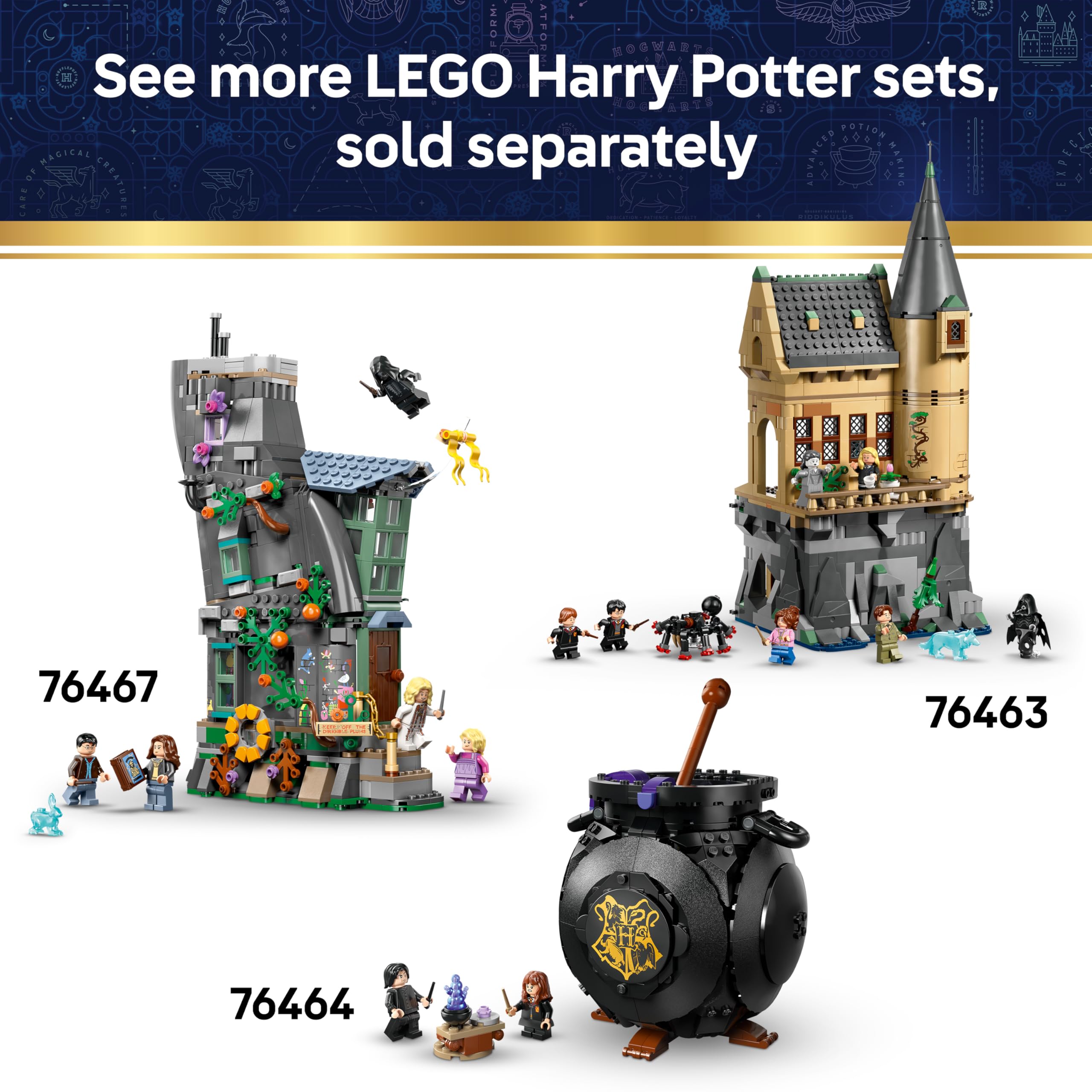LEGO Harry Potter Hogwarts Castle: Sorting Hat Ceremony Toy Set 76460 | Ages 7+ 7