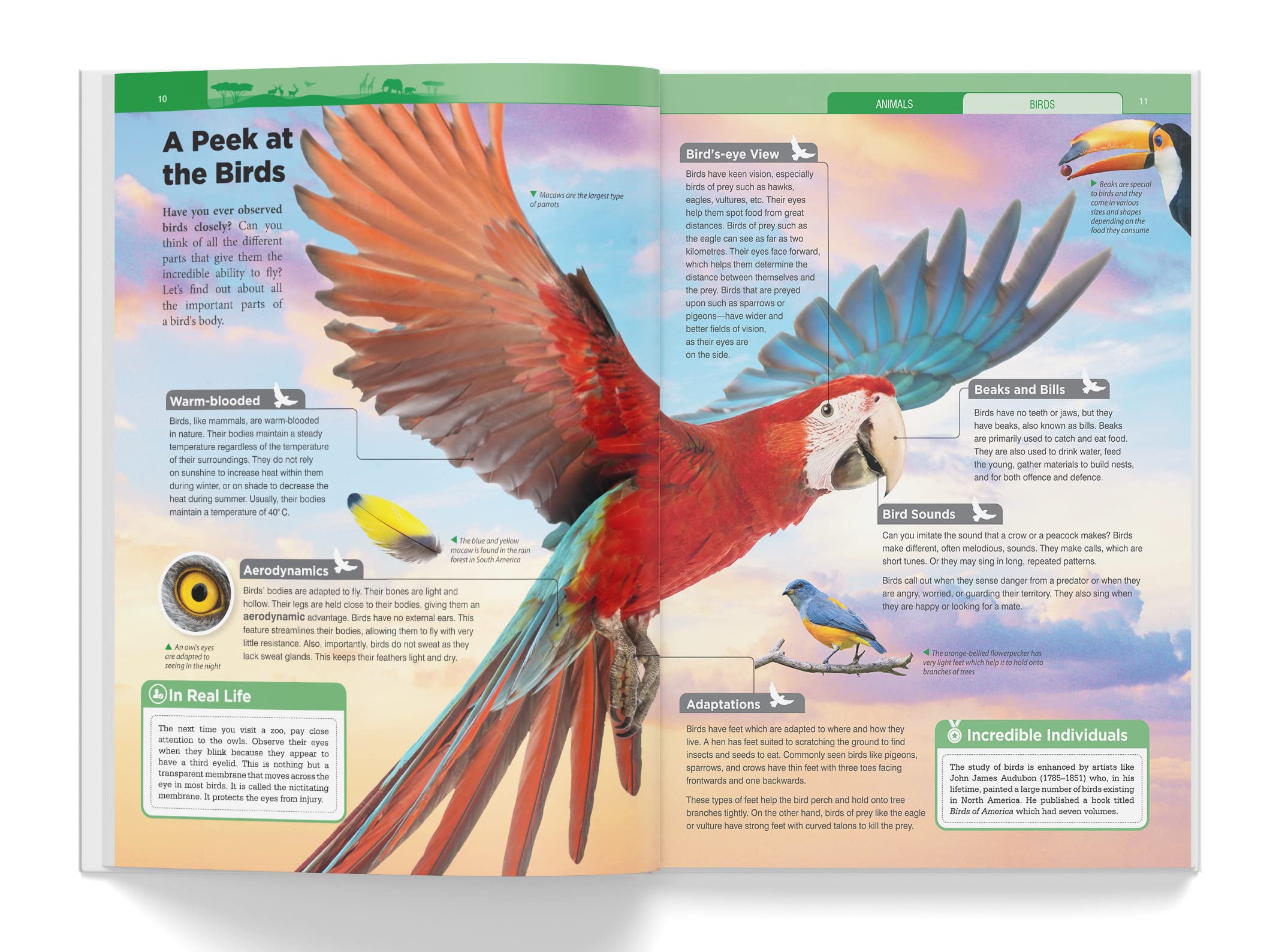 Wonder House Knowledge Encyclopedia - Animals for Children | Hardcover | English 4